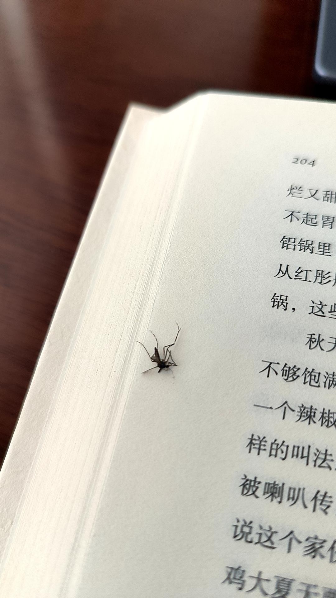人的一生其实都是在不断思考这三个问题：

一是应该以什么样的姿态立于天地之间。