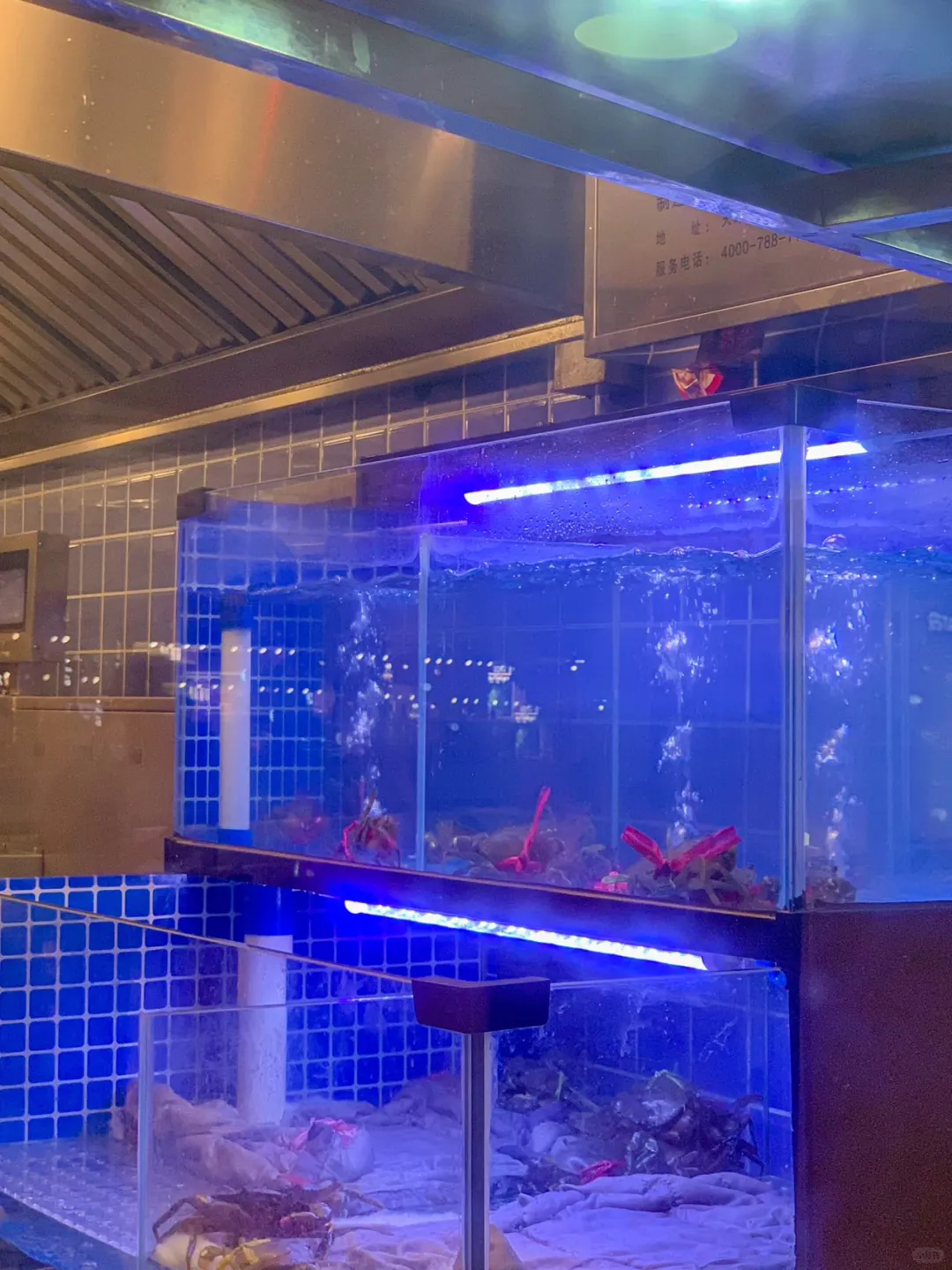 香港人来深圳必尝！老船长肉蟹煲，鲜到飞起～ 香港人来深圳不能错过的老船...