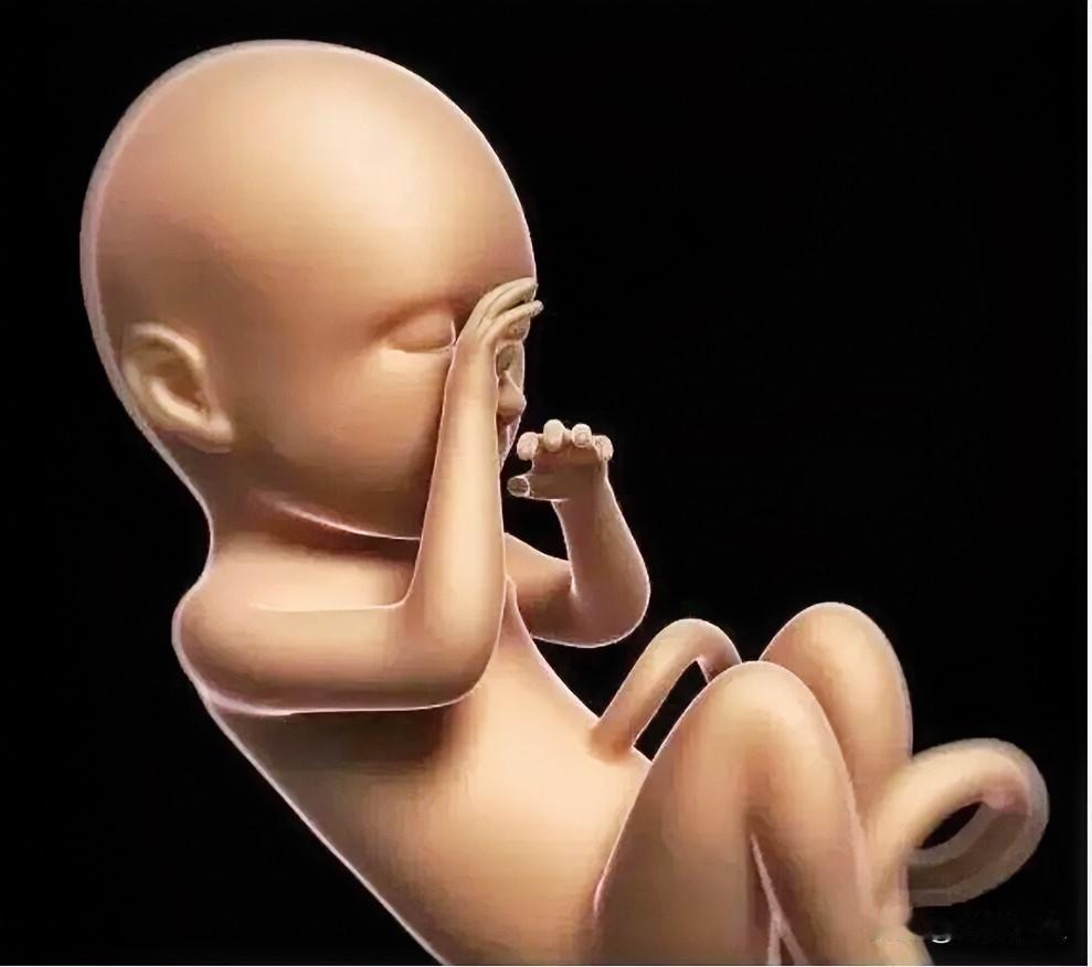 以前生不出儿子全怪女人，后来科普：X精子生女、Y精子生男，这口生男生女的锅，也逐