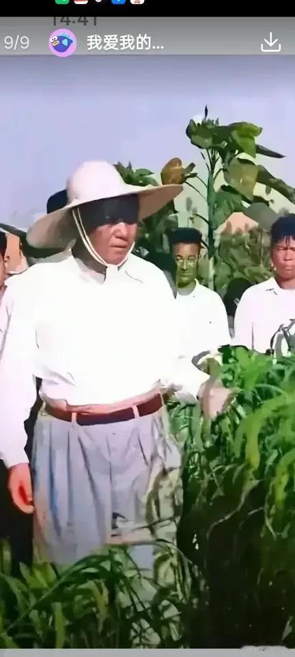 毛主席对人民的好，我们不能忘记，忘记等于背叛[祈祷][祈祷][祈祷][祈祷][祈