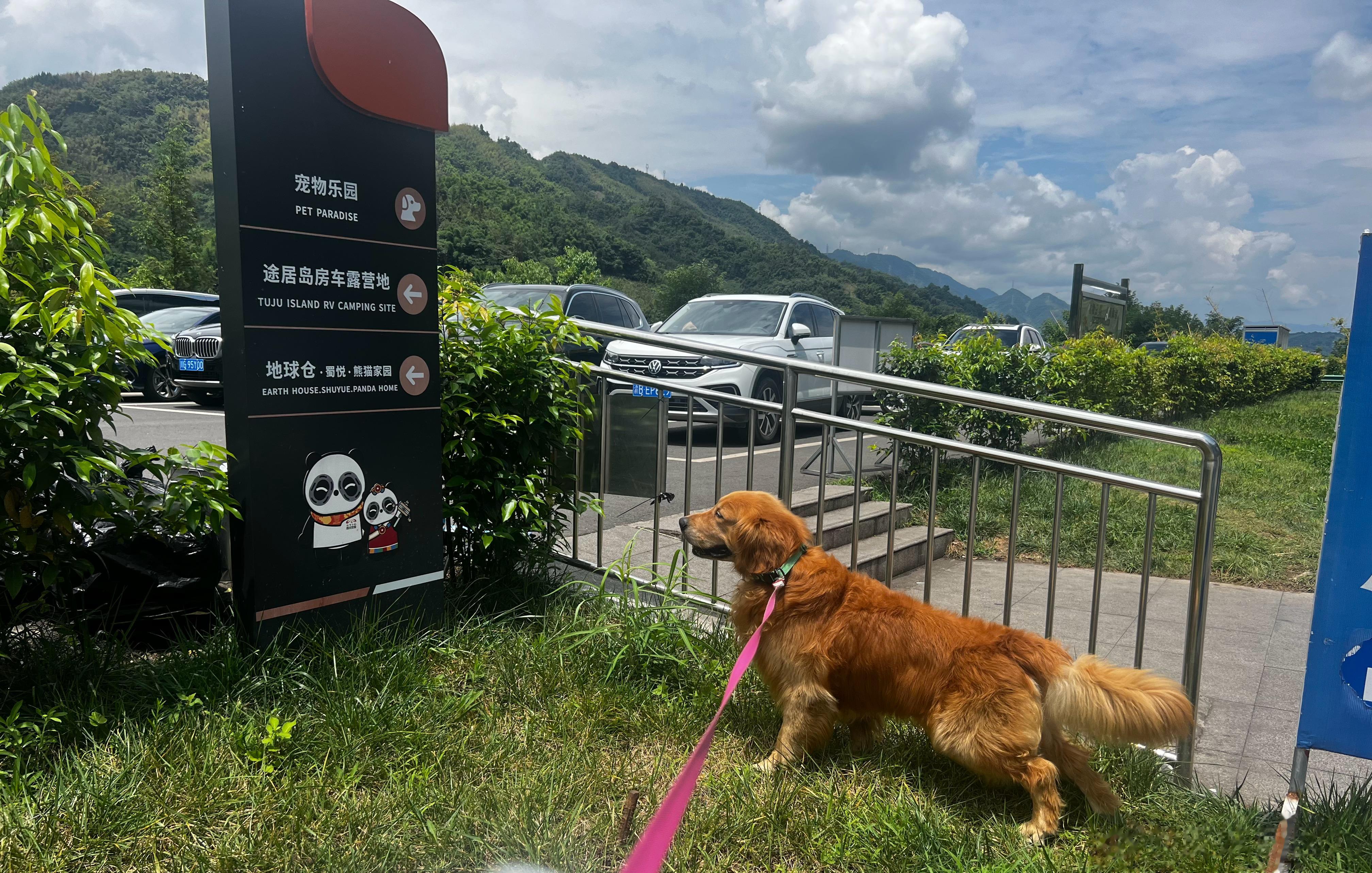开车累死我了[苦涩] ​​​