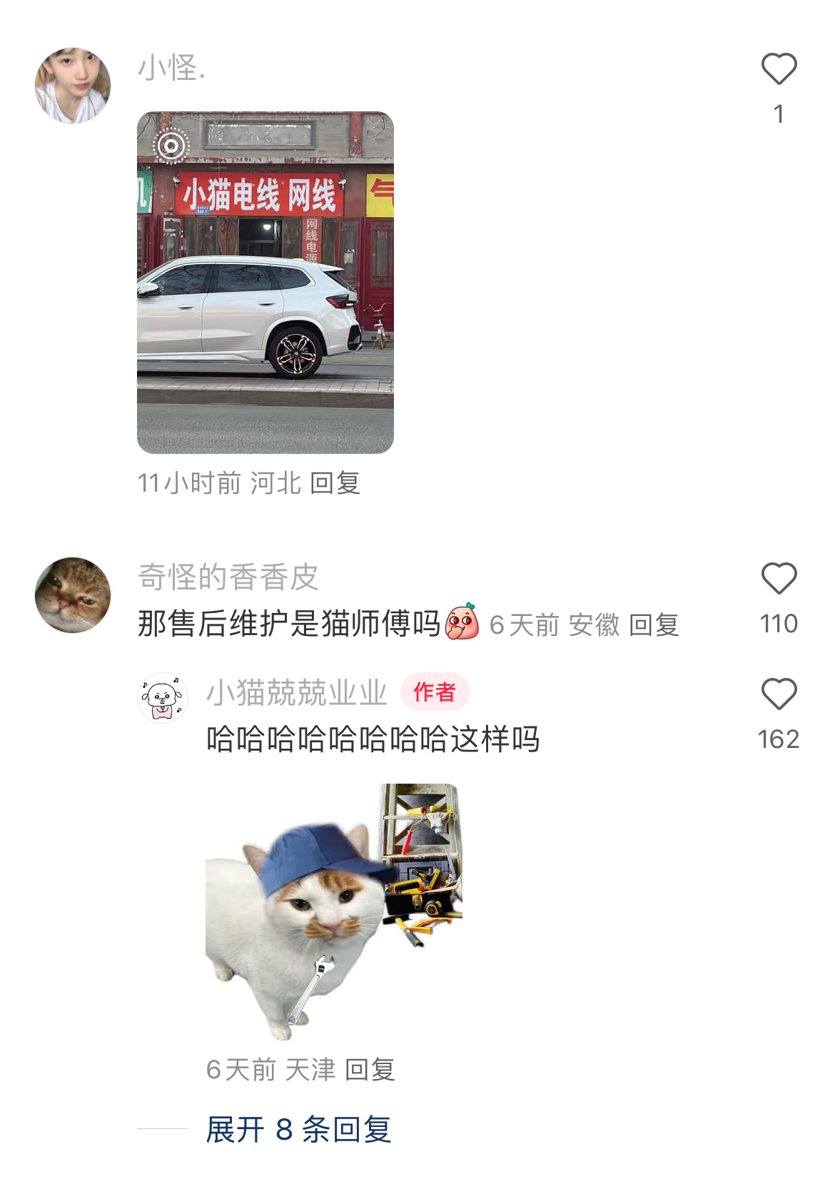 爱猫人士当老板后就这样取名 