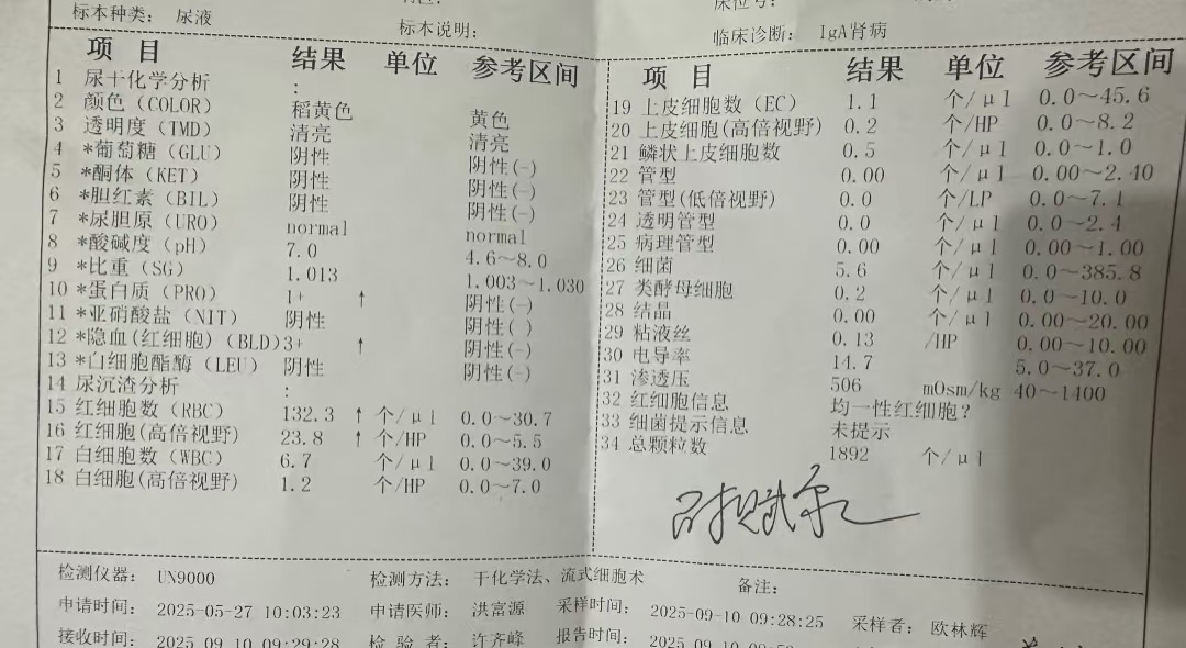 iga肾友太爱自己了