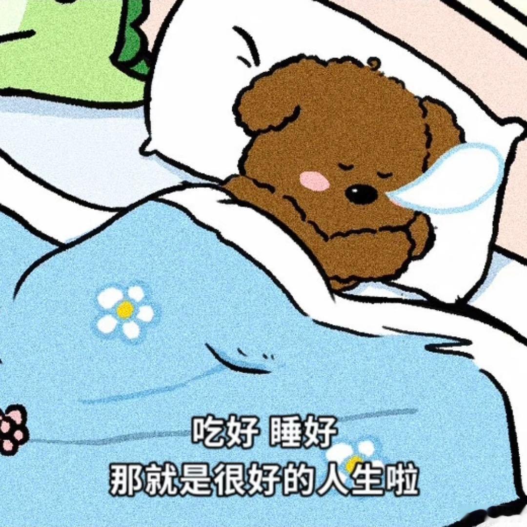 周末计划vs实际周末计划整理衣柜、断舍离旧物。现实是把衣服翻出来堆了一床，然后窝
