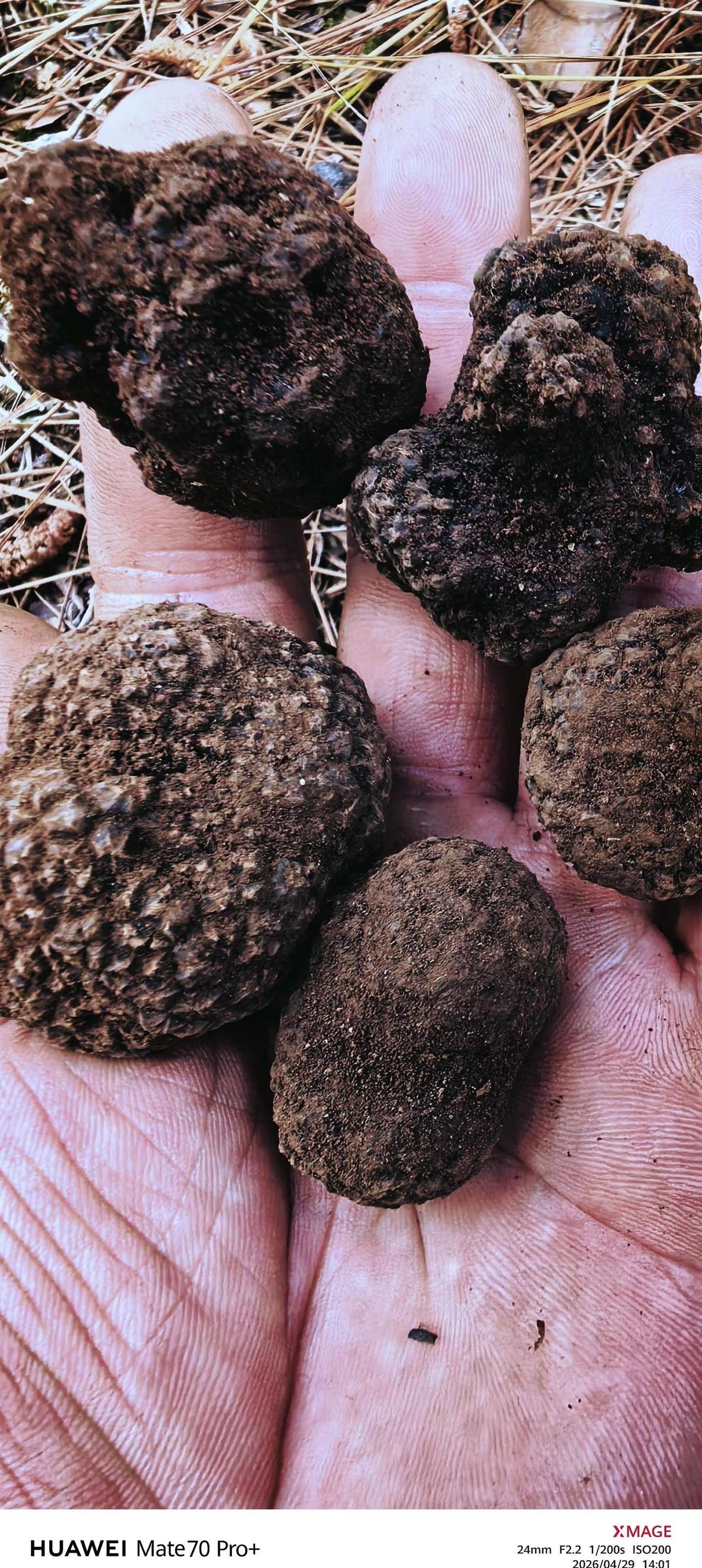 喜欢大自然的宁静  远离那些烦心的事和人。