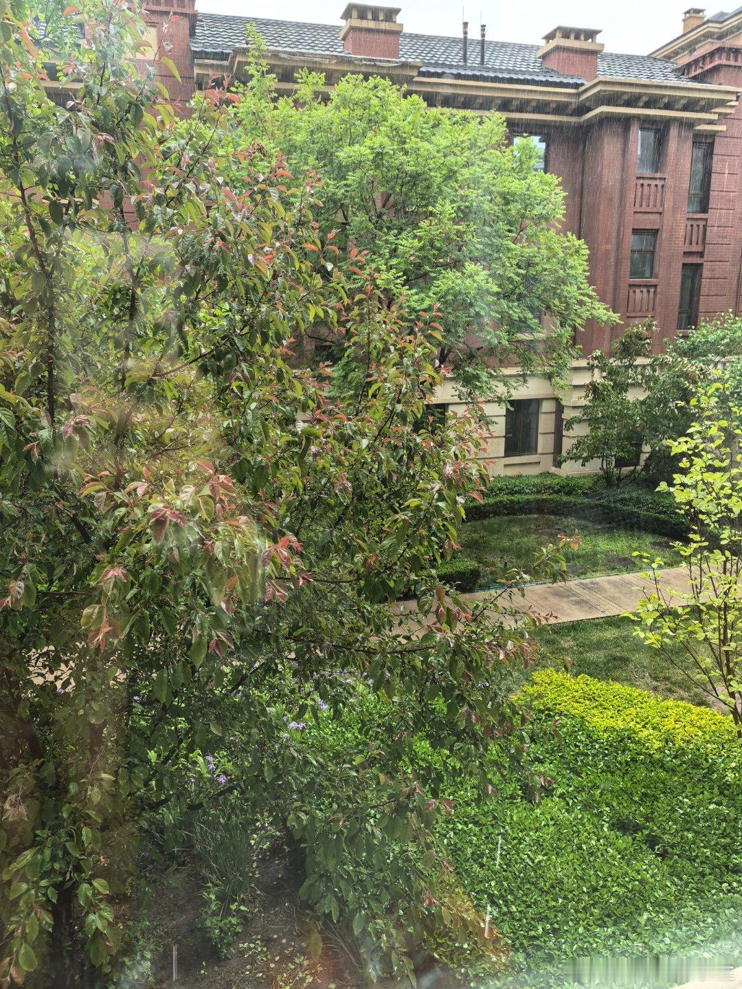 幸亏没出门，这雨来的这么突然，计划泡汤，拉好窗帘开始睡觉。。 