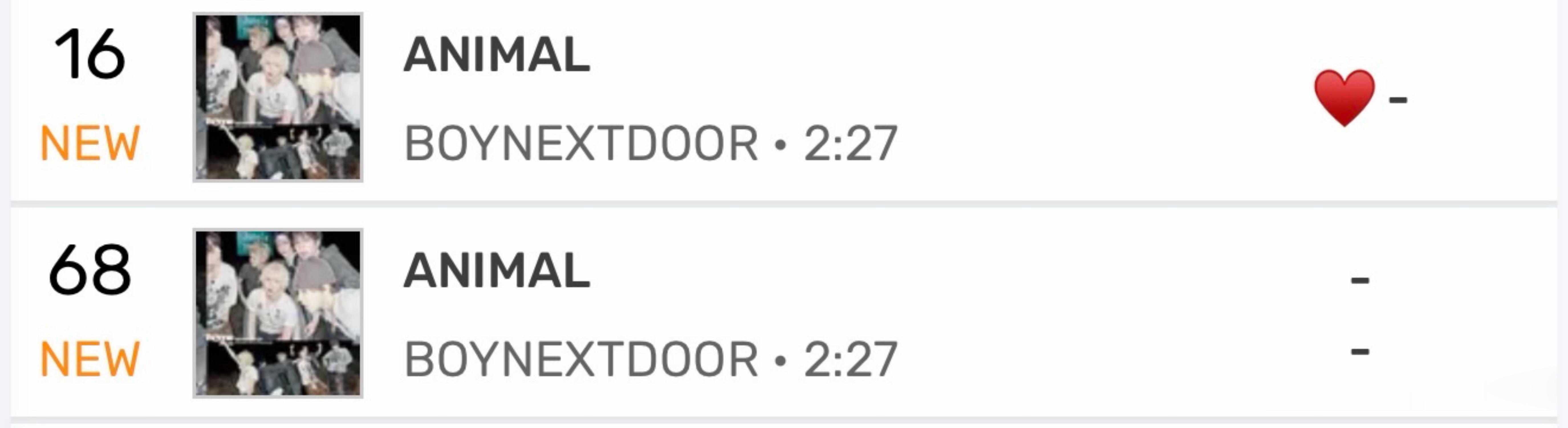 BOYNEXTDOOR新歌  'ANIMAL' 空降MelOn实时第16，TOP