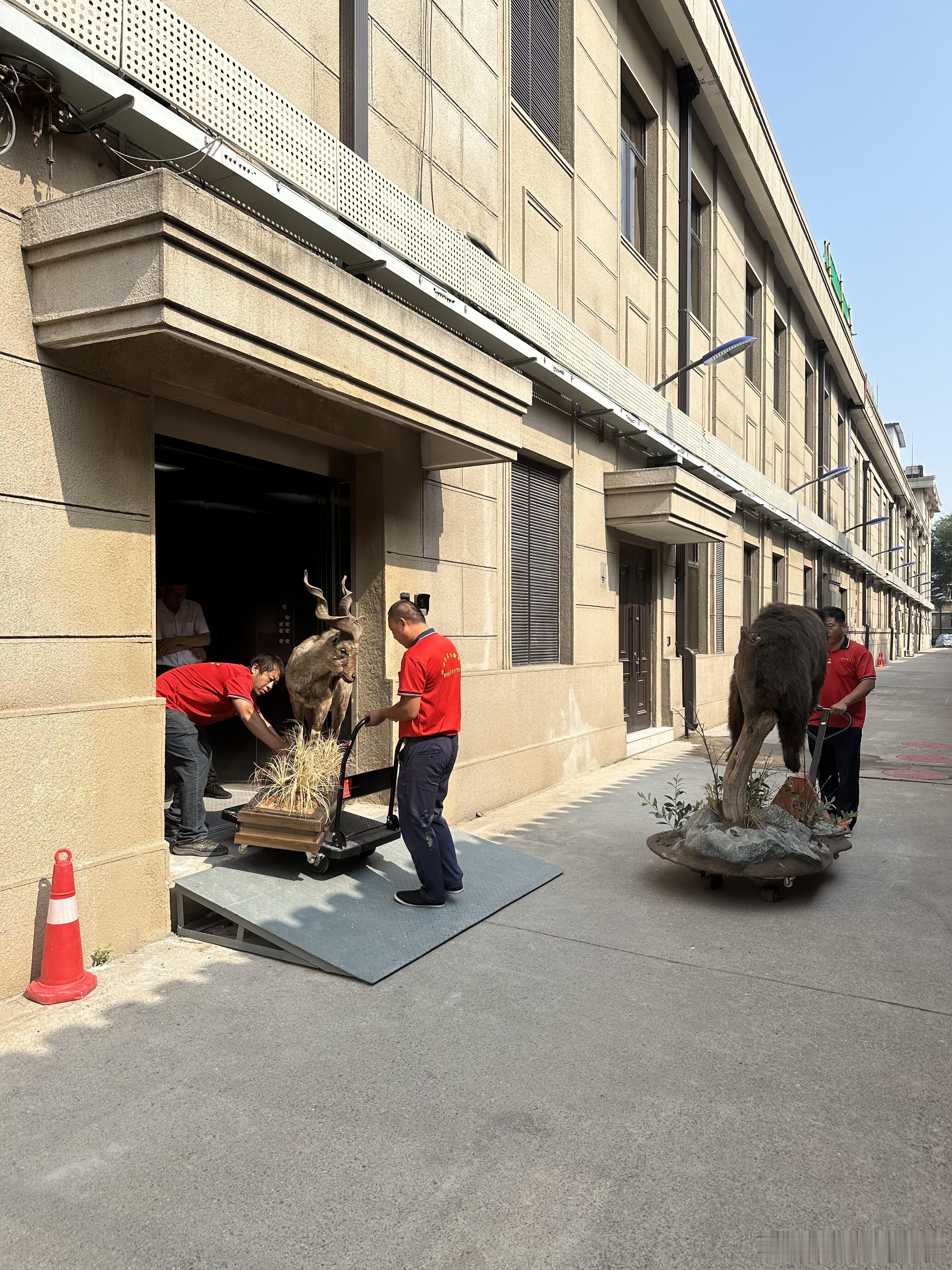 国家自然博物馆x《生命树》剧组跨界合作开启！！！官方预热📢:↓下一个展览，生命