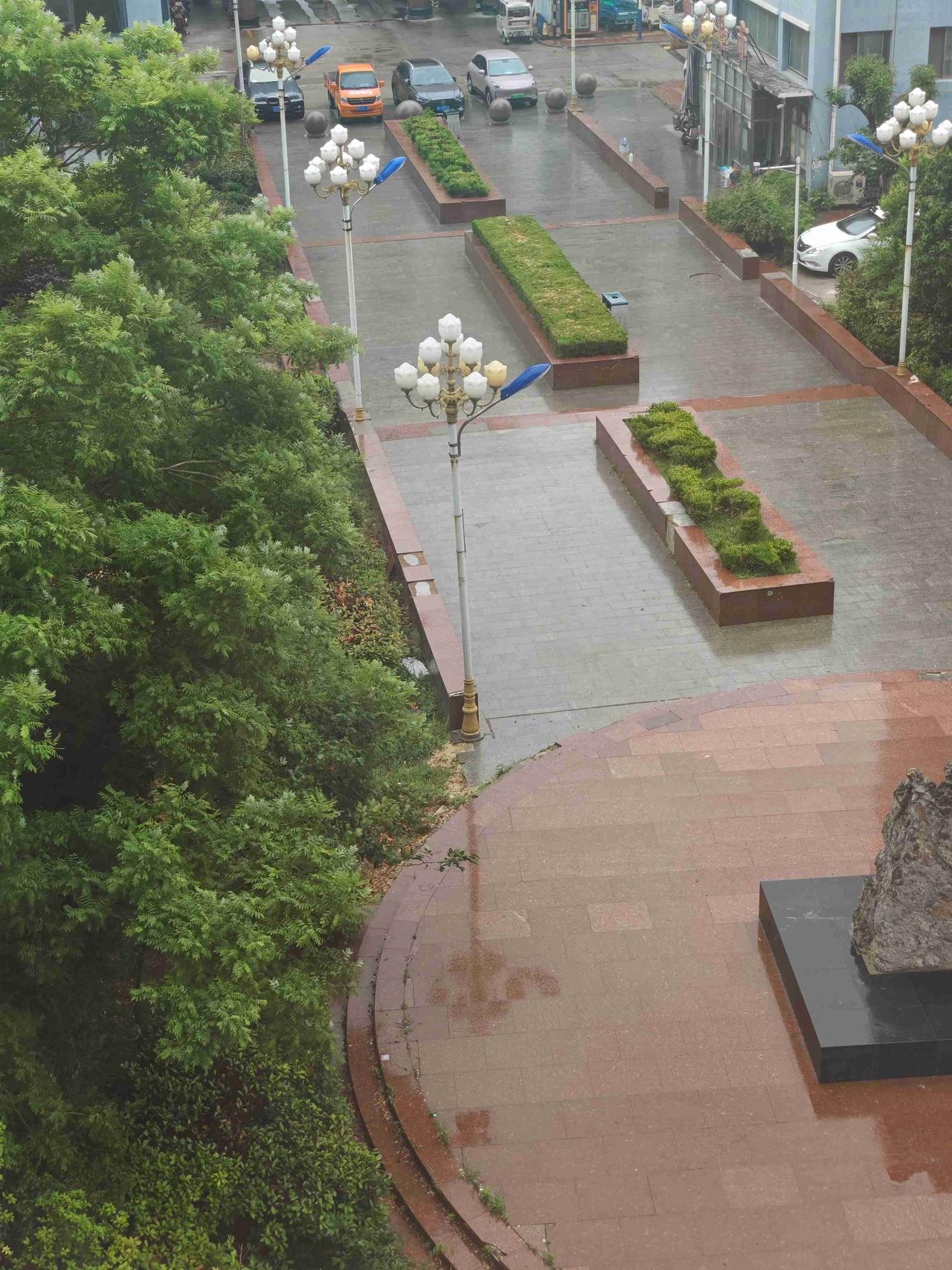 早晨外面下着小雨，小区的地面湿漉漉的，气温不高，25℃/14℃，我叮嘱老公穿的暖