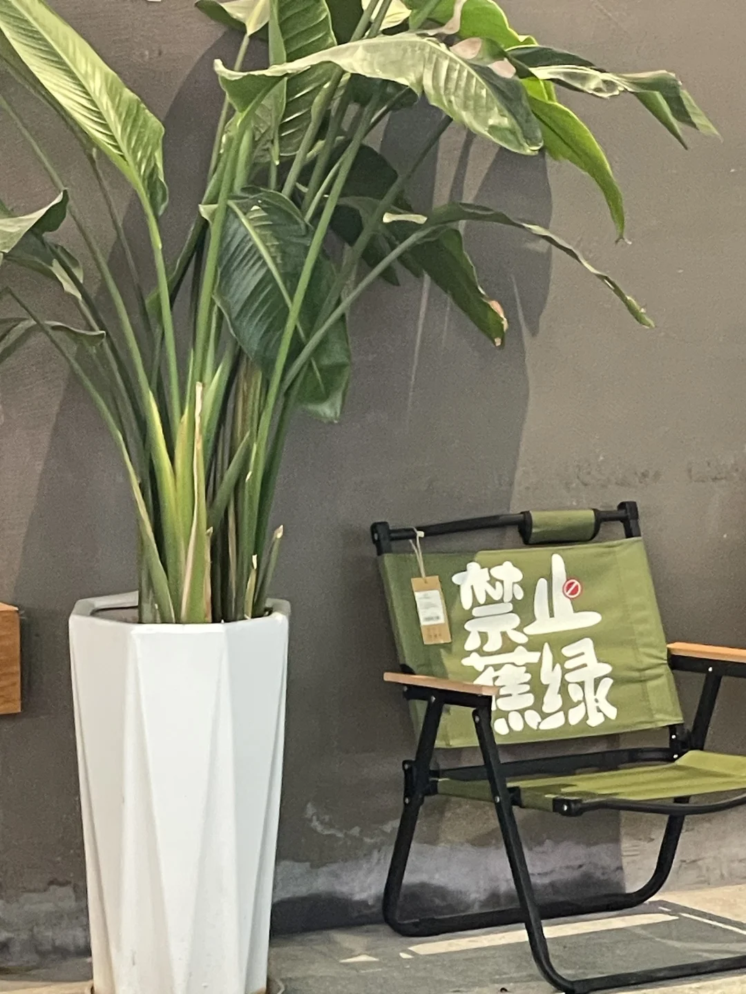明天开始，我要在武夷山与世隔绝生活十天啦