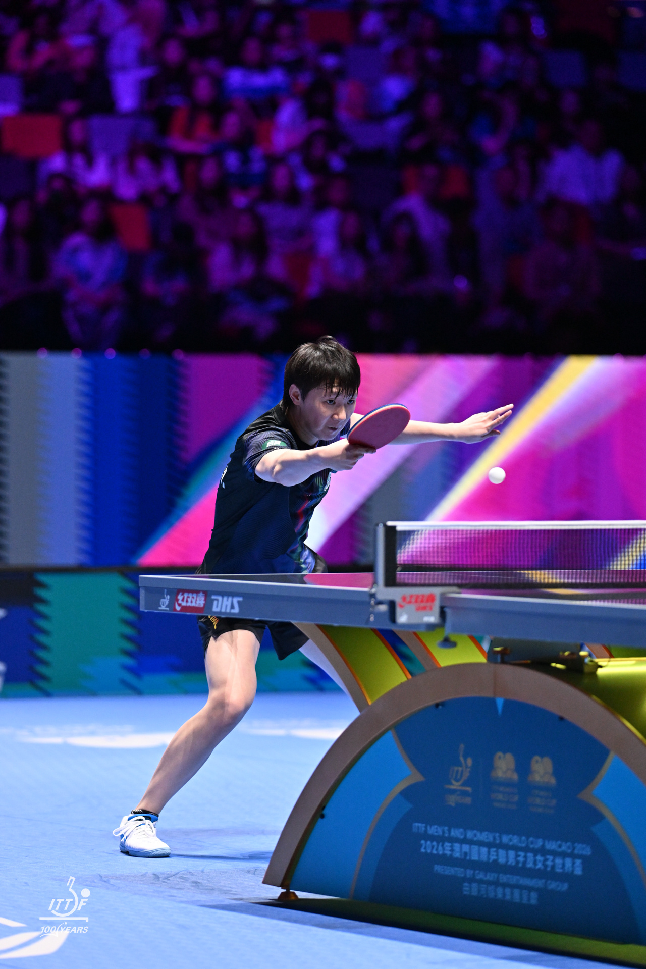 260405澳门世界杯半决赛 | ittf2澳门世界杯2026