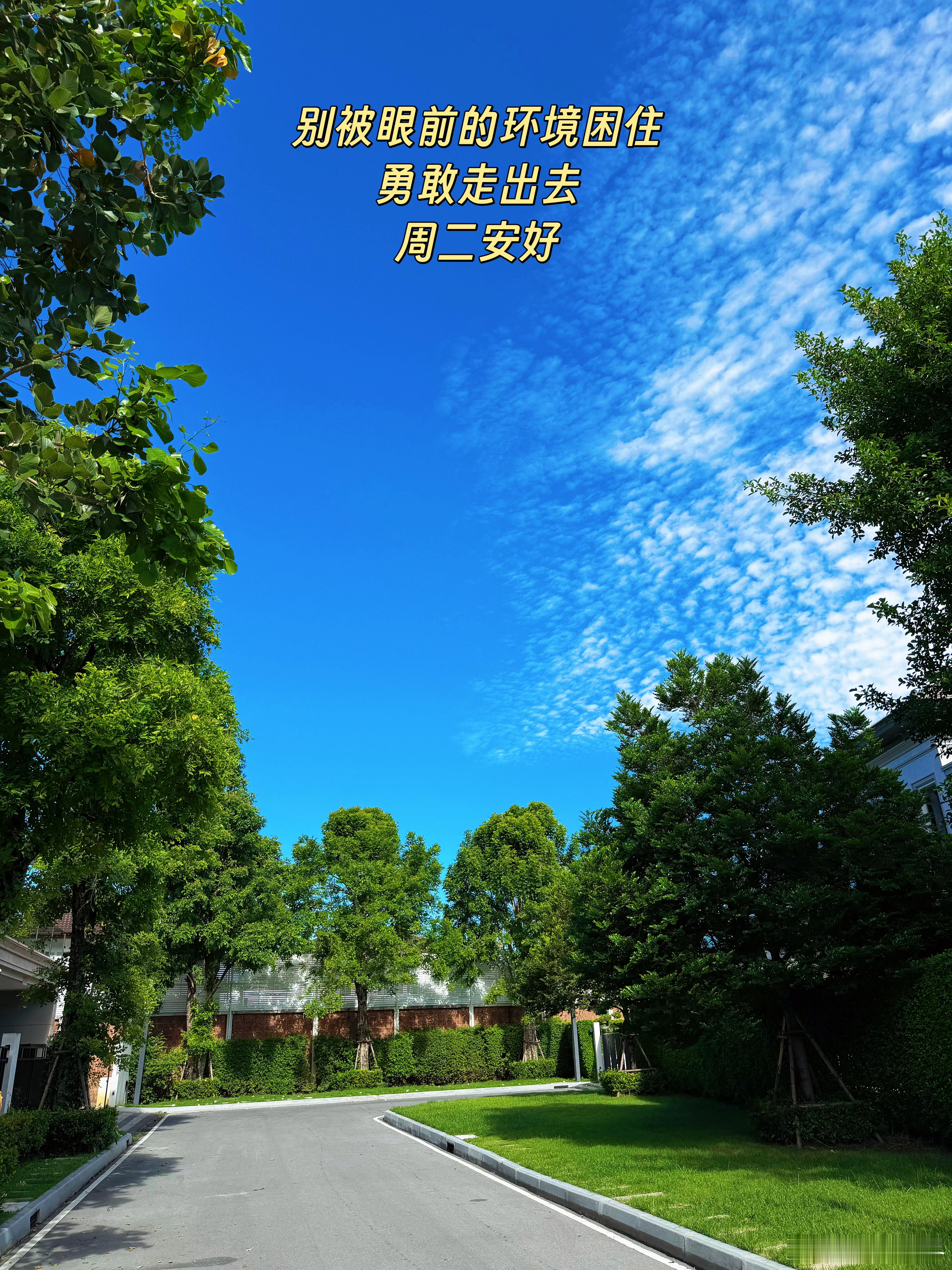 别被眼前的环境困住，勇敢走出去。周二安好！ 泰国·Ekkamai (เอกมัย