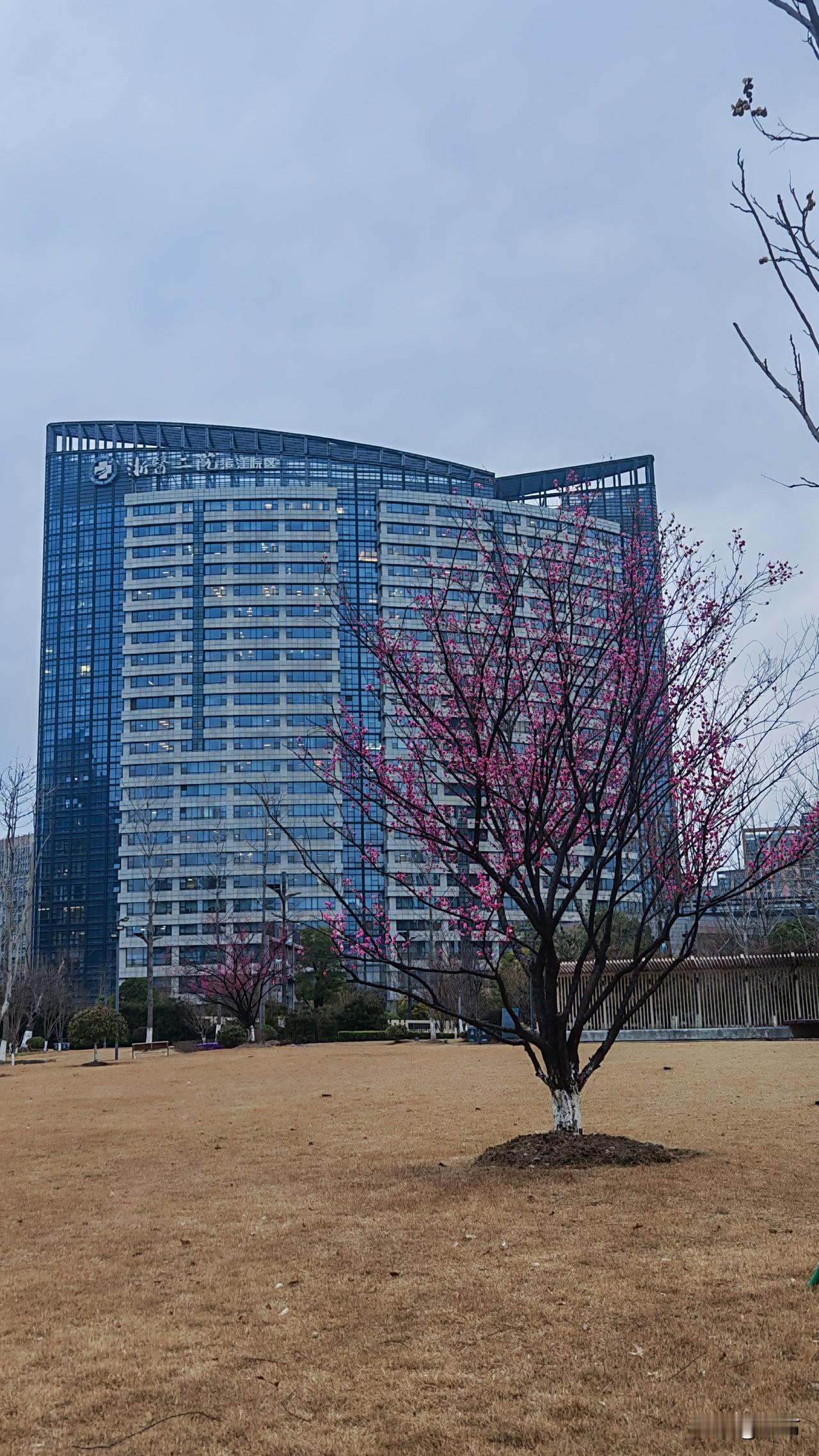 用豆包谈对象成了当下年轻人的流行色了吗？
我工作的米线馆，小厨师是个二十出头的小