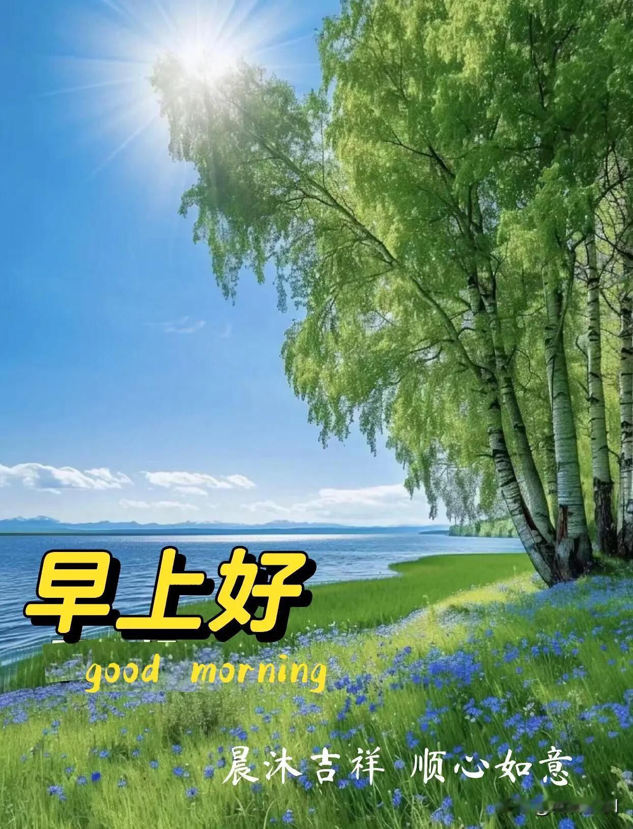 晨起向阳，不负时光，愿你平安无忧，事事如愿。