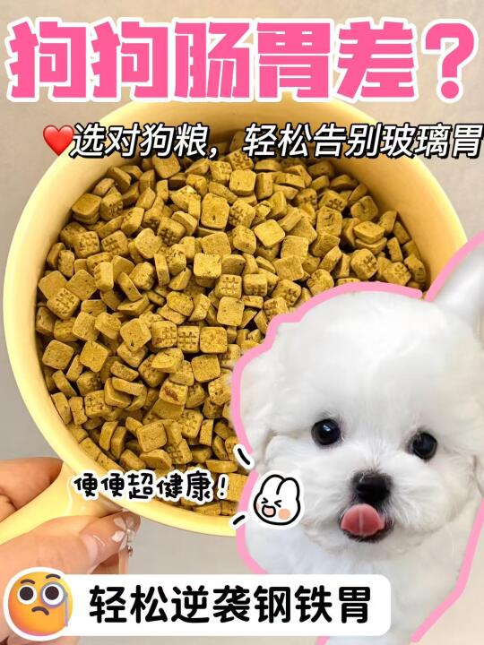 选对狗粮，玻璃胃狗狗也能逆袭钢铁胃✅