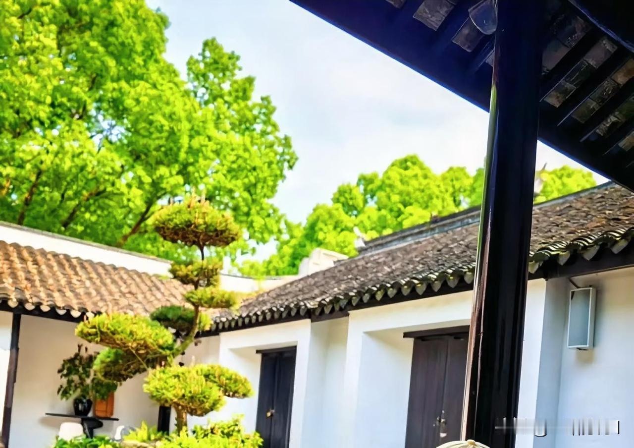 一个人的情商是与生俱来的，快一年了，终于有勇气跨进学校，有老师就问，你怎么来啦？
