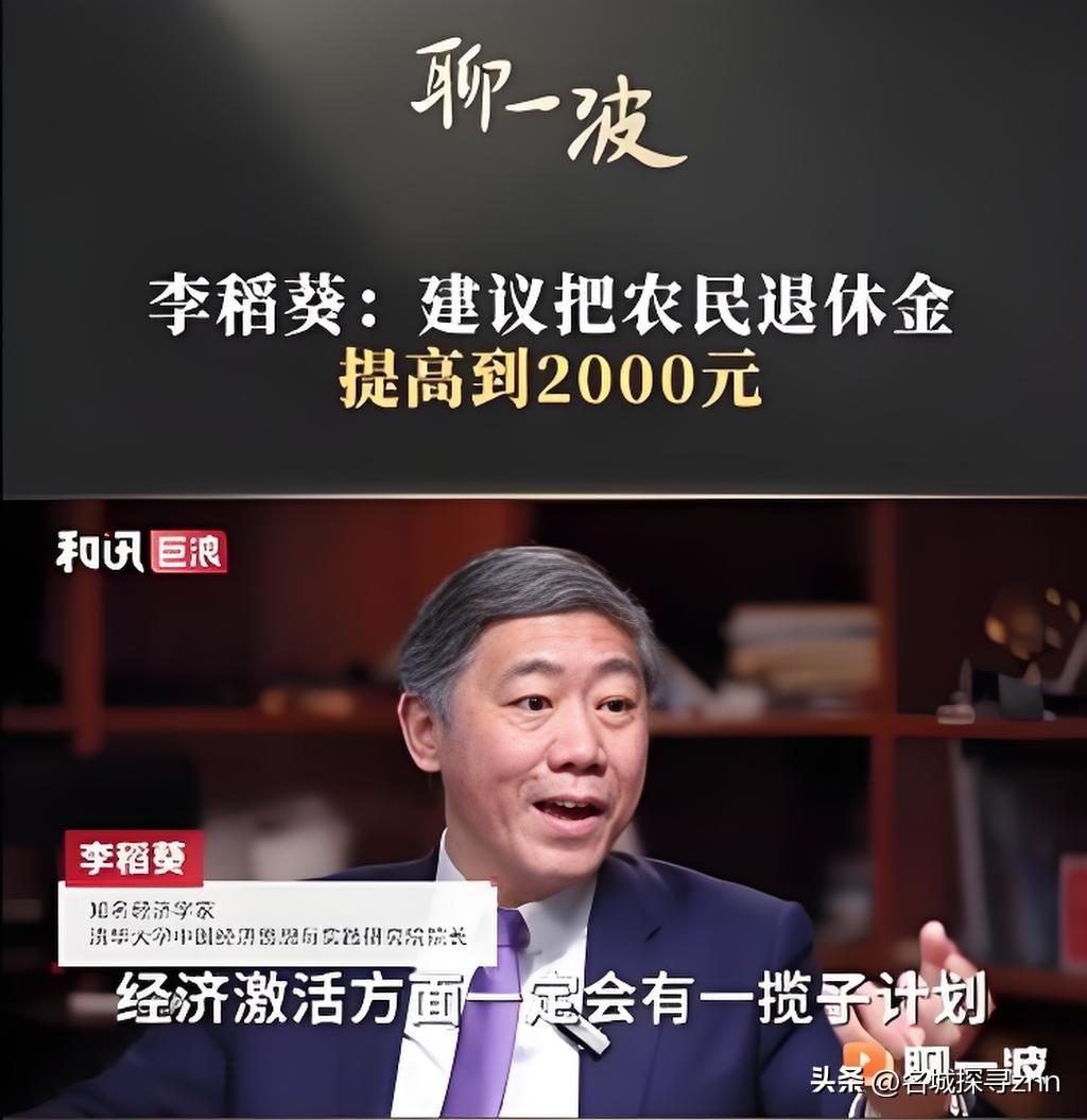 清华大学李稻葵：“不能因为钱一下子拿不出来，就让提高农民养老金从长计议，很多交了