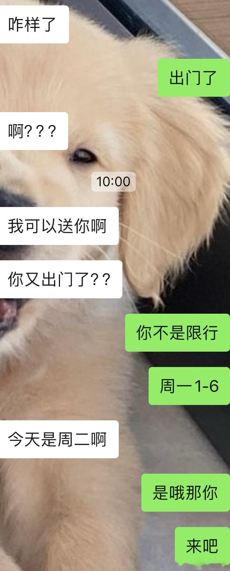 新年第一天上班  嘎嘎脑袋启动中～老婆们早哟❤️ ​​​