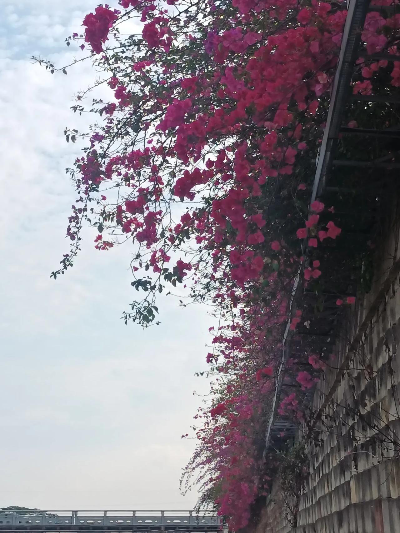大家发现没？
一个女人穿的十分性感妖娆，
妆容十分精致，
挎着名牌小包，
总是一