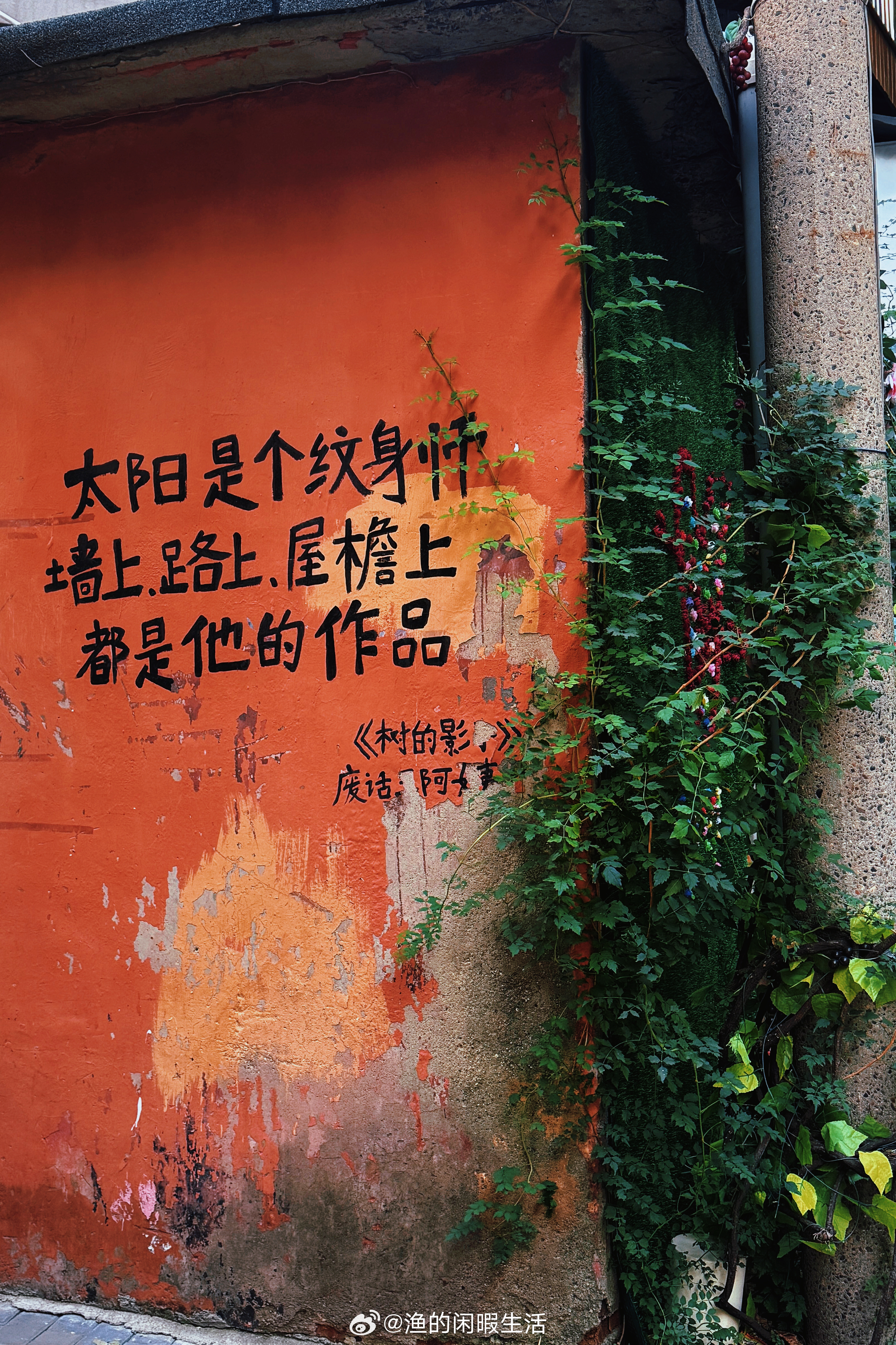 不热闹但丰盛手机摄影  ​​​