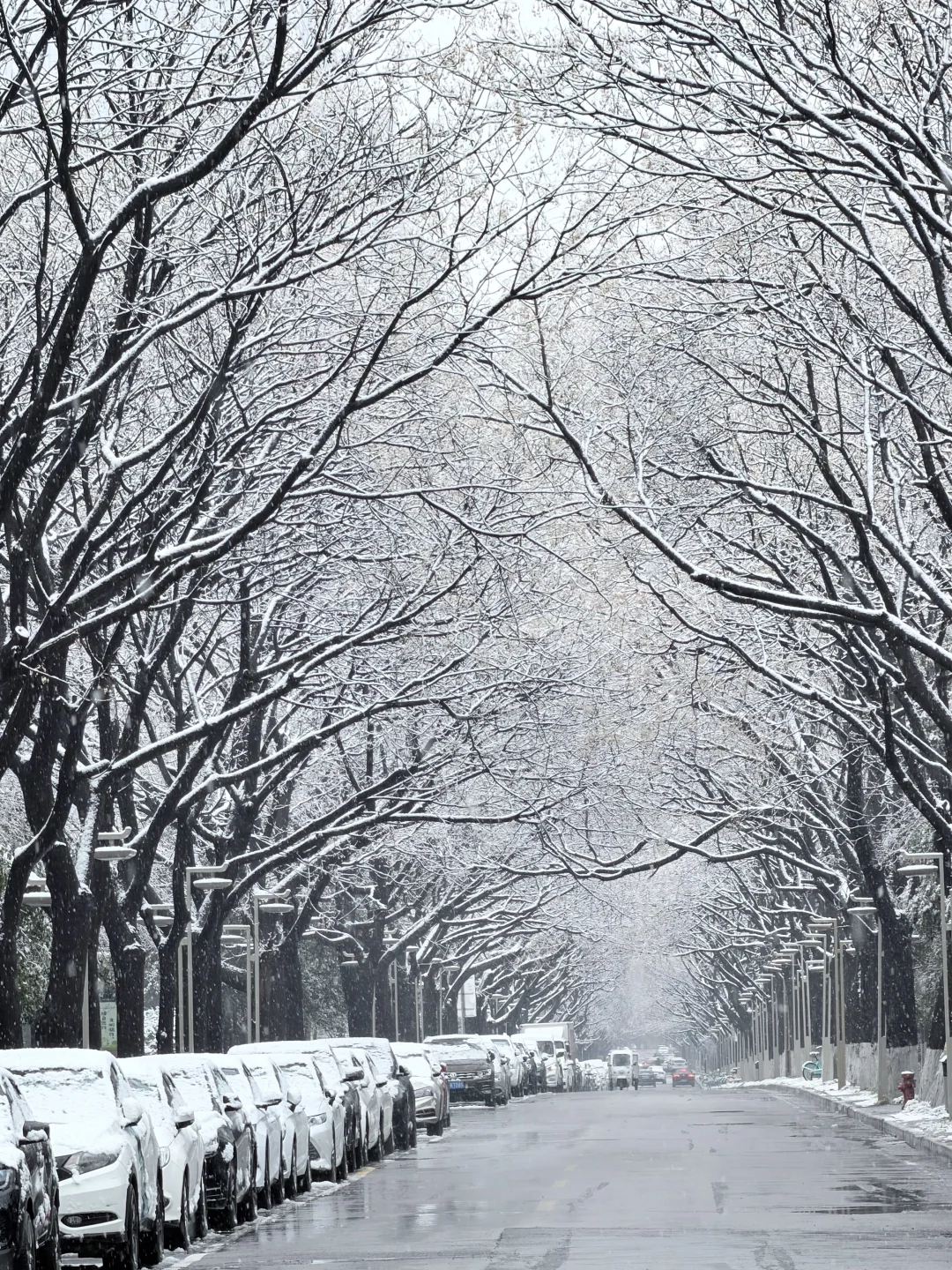 终于拍到这条路的雪景了…