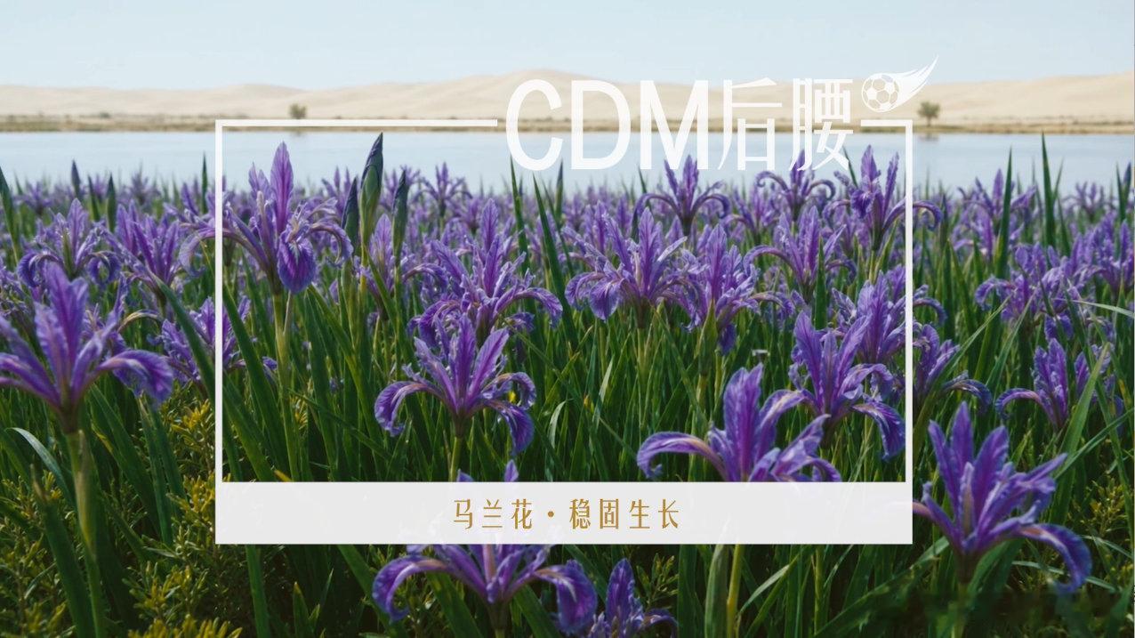 张云龙说这是世界杯级防守 被这支默默无闻的沙漠球队狠狠戳中！十余年逆势坚守、稳固