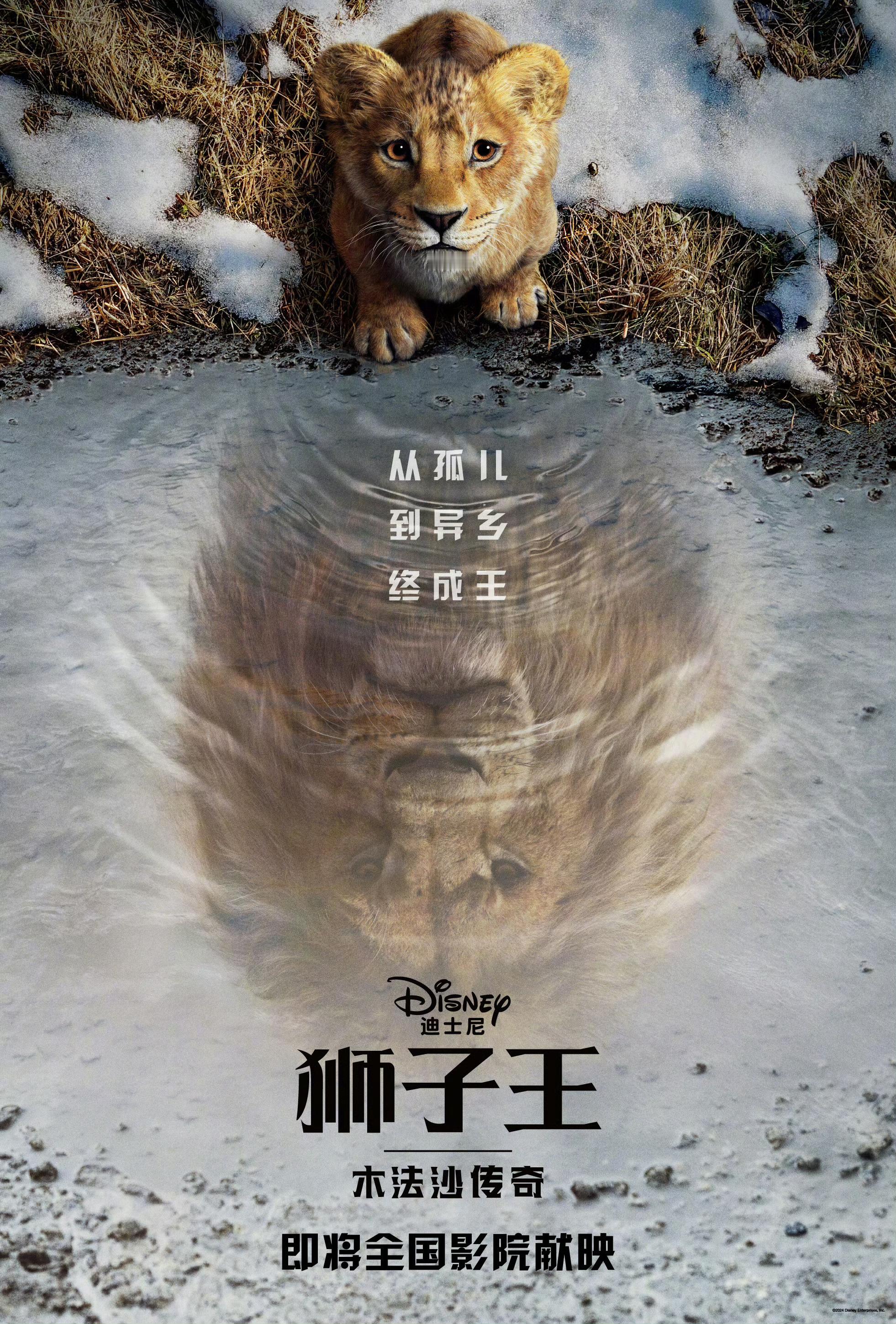 迪士尼影业《狮子王》前传电影《狮子王：木法沙传奇》确认引进中国内地，档期待定。影