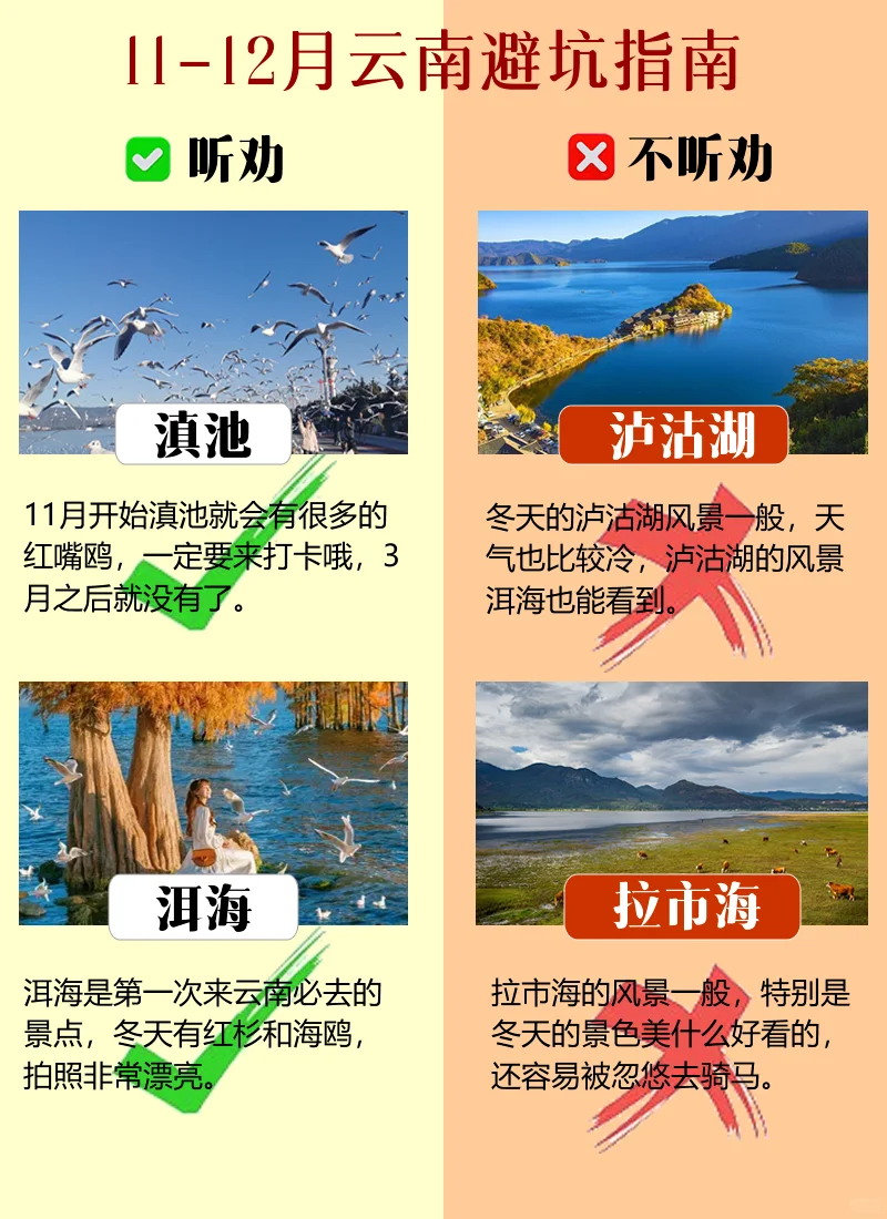 当天去云南旅游避坑指南