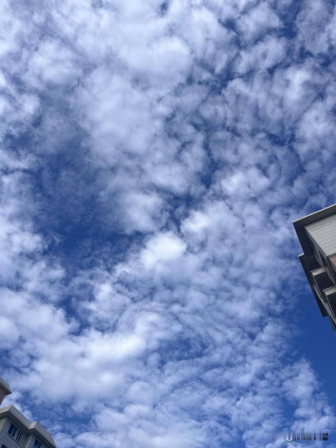 云卷云舒，天高任我行。新疆 一人一句励志文案 每天一句激励自己的话是什么?