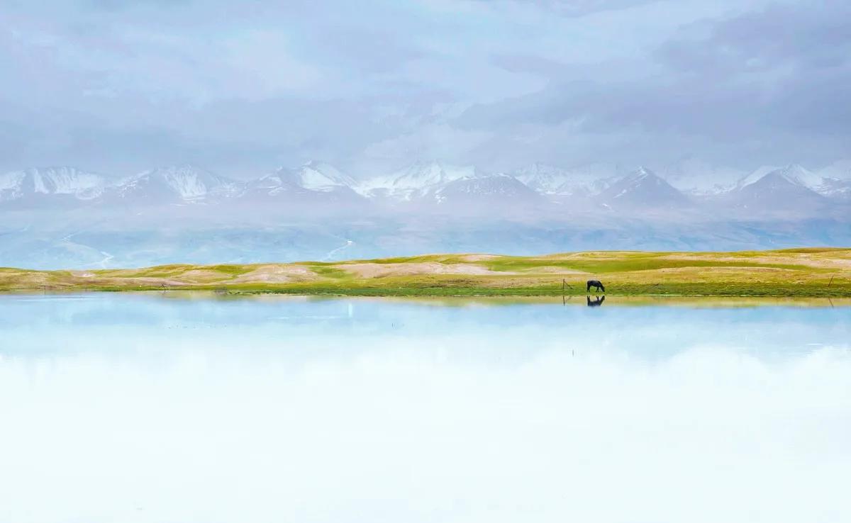 拍摄于新疆巴音布鲁克🍊🍊我曾一度以为有些风景只会出现在梦境中....#杨旭游