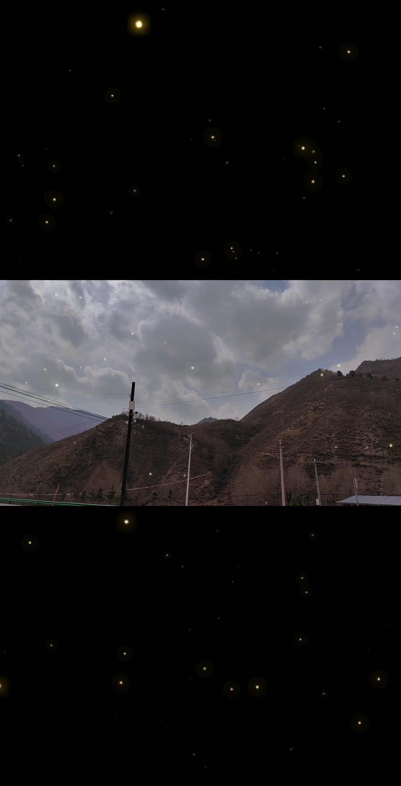 感情这东西，不好评，有的长着人样却做着狗的事情，有些狗却比人坚实……