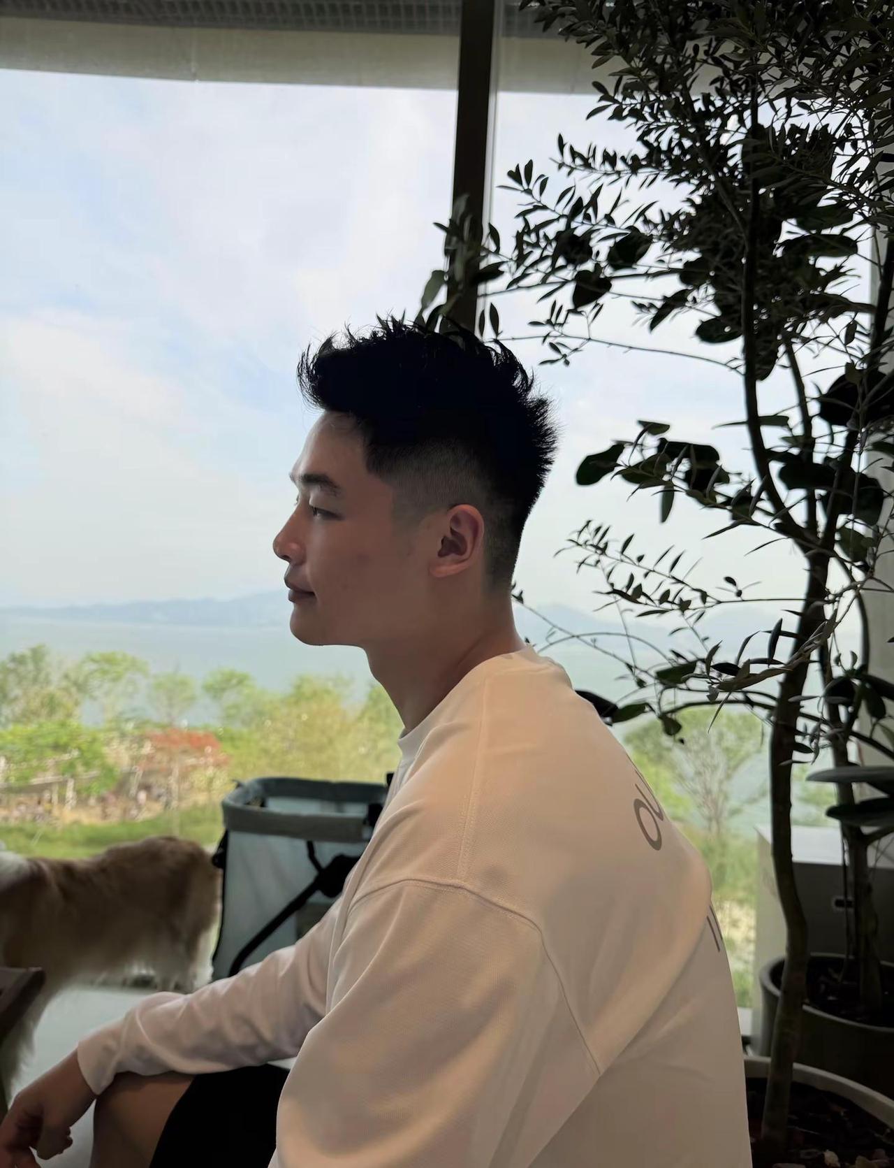 苹果不去想橘子的问题