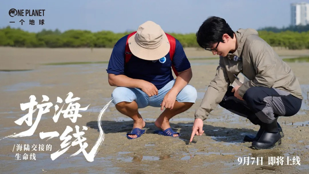 捡到一张 朱一龙护海一线 ​​​