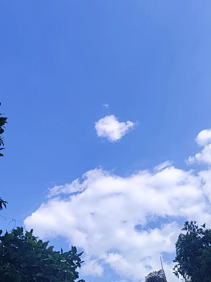 昆明的天空，那蓝天白云就像刻在了人们的记忆里。每次抬头，都能看到那纯粹的蓝，像被