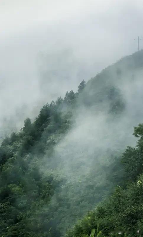 上联：桥下有水水追水，请对下联我琢磨着对个“山间起雾雾绕雾”。山间起雾时，那雾气