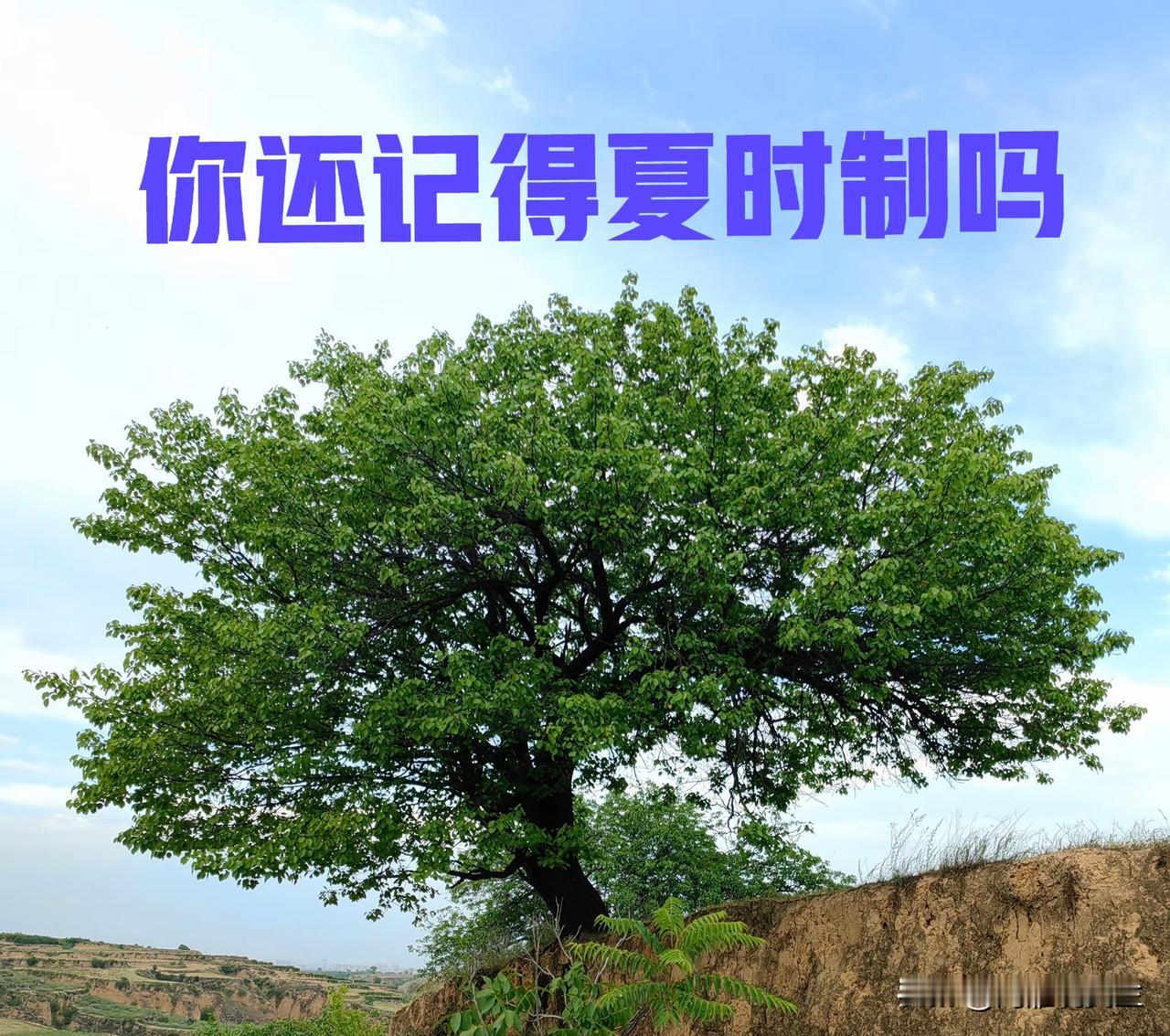 岁数大的人，还记得那几年实行夏时制这件事吗？
       现在琢磨琢磨，你说这