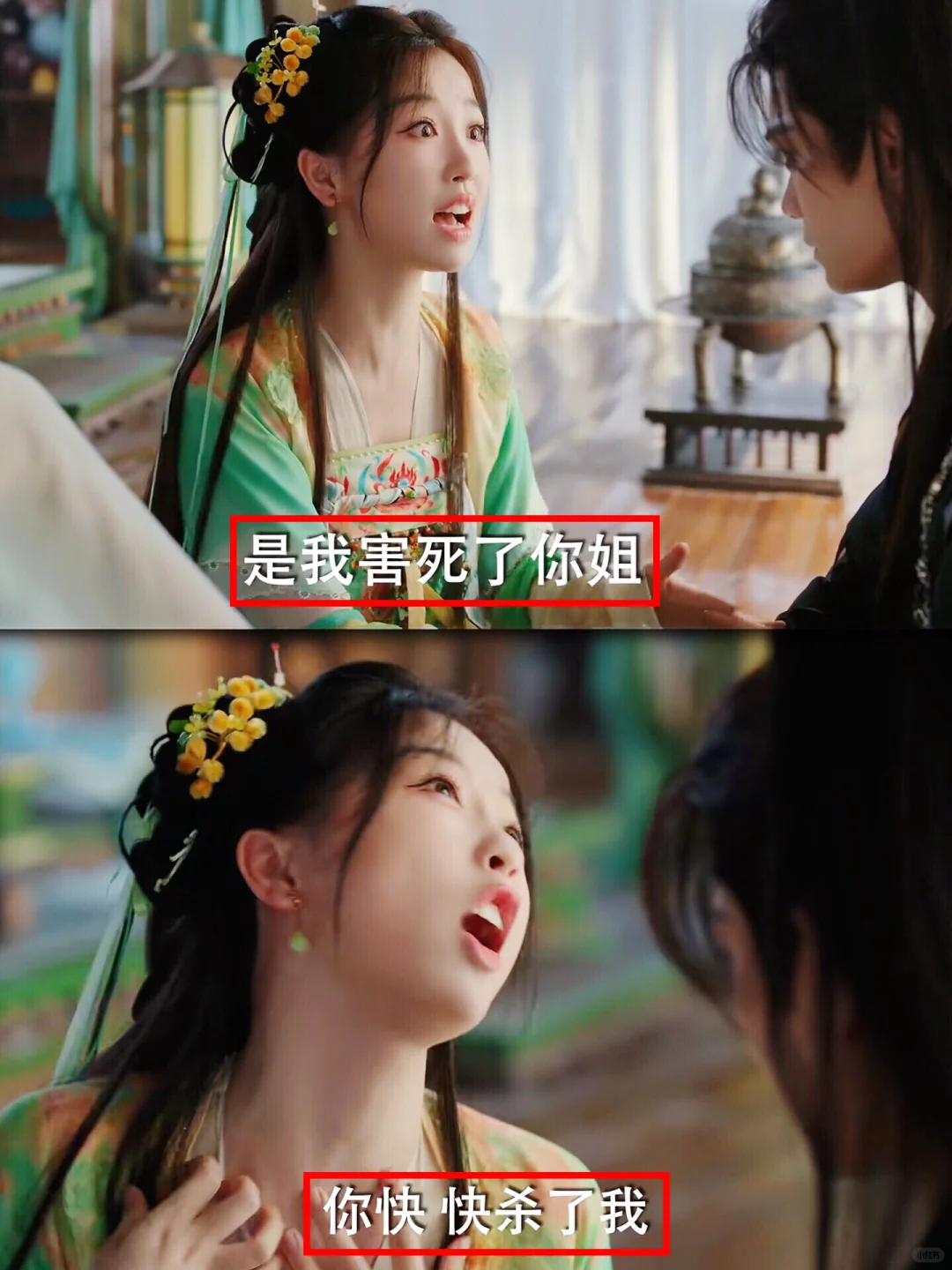 女主被逼疯了 而我笑疯🤣