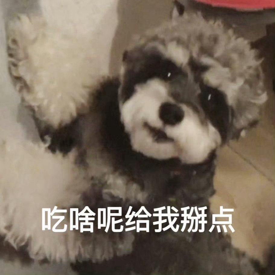 大哥早上好呀！肚子好饿，我只能握住拳头，打向自己的肚子，帮自己出口饿气！ 