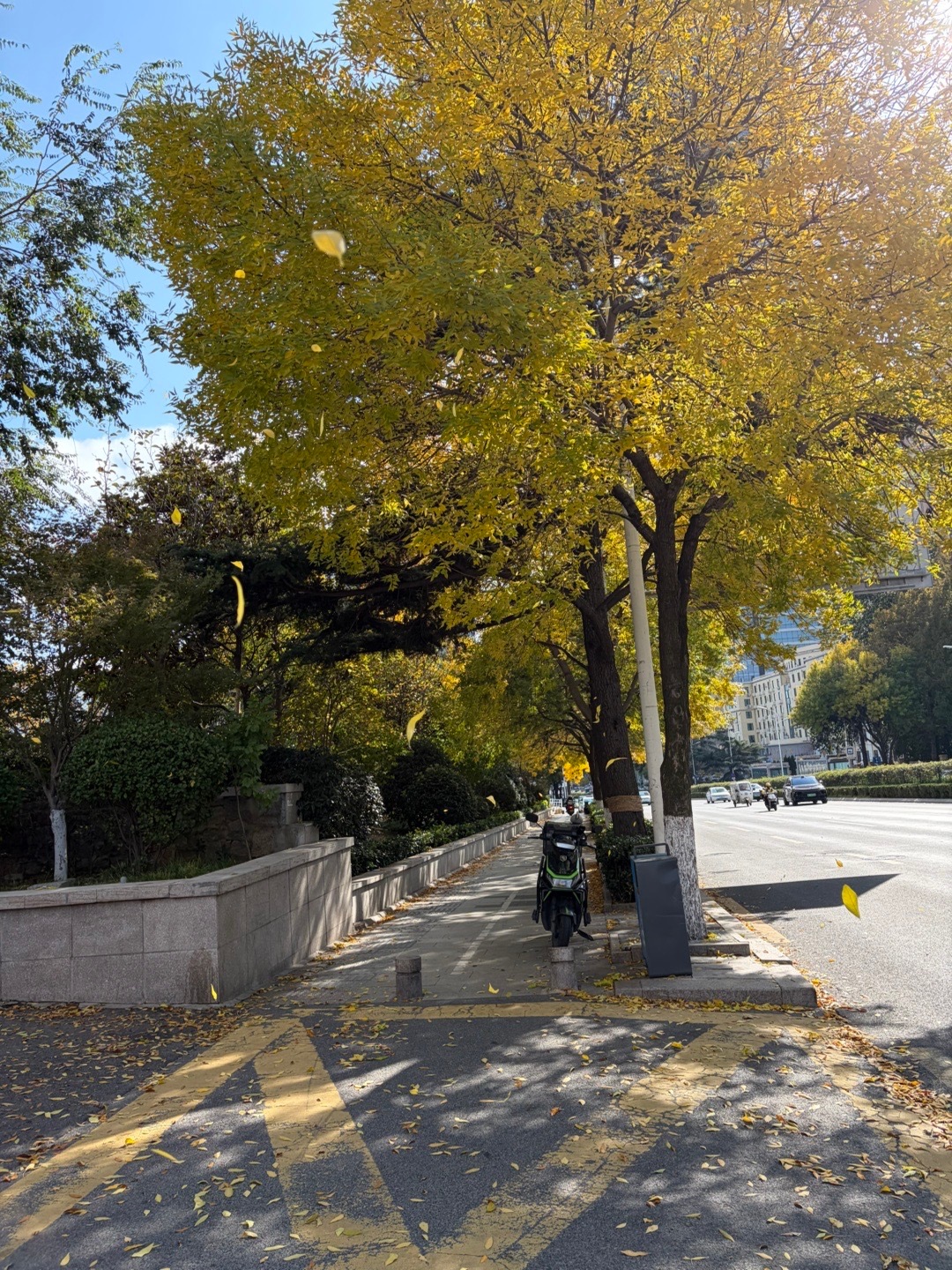 在小麦岛开了两个小时腾讯会议  ​​​