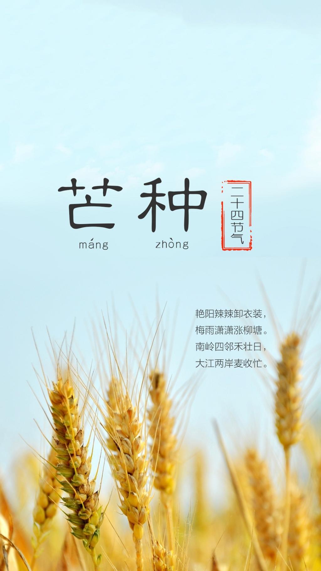 #芒种节气唯美手机壁纸#
今天是芒种节气，一年二十四节气中的芒种是夏天的第三个节
