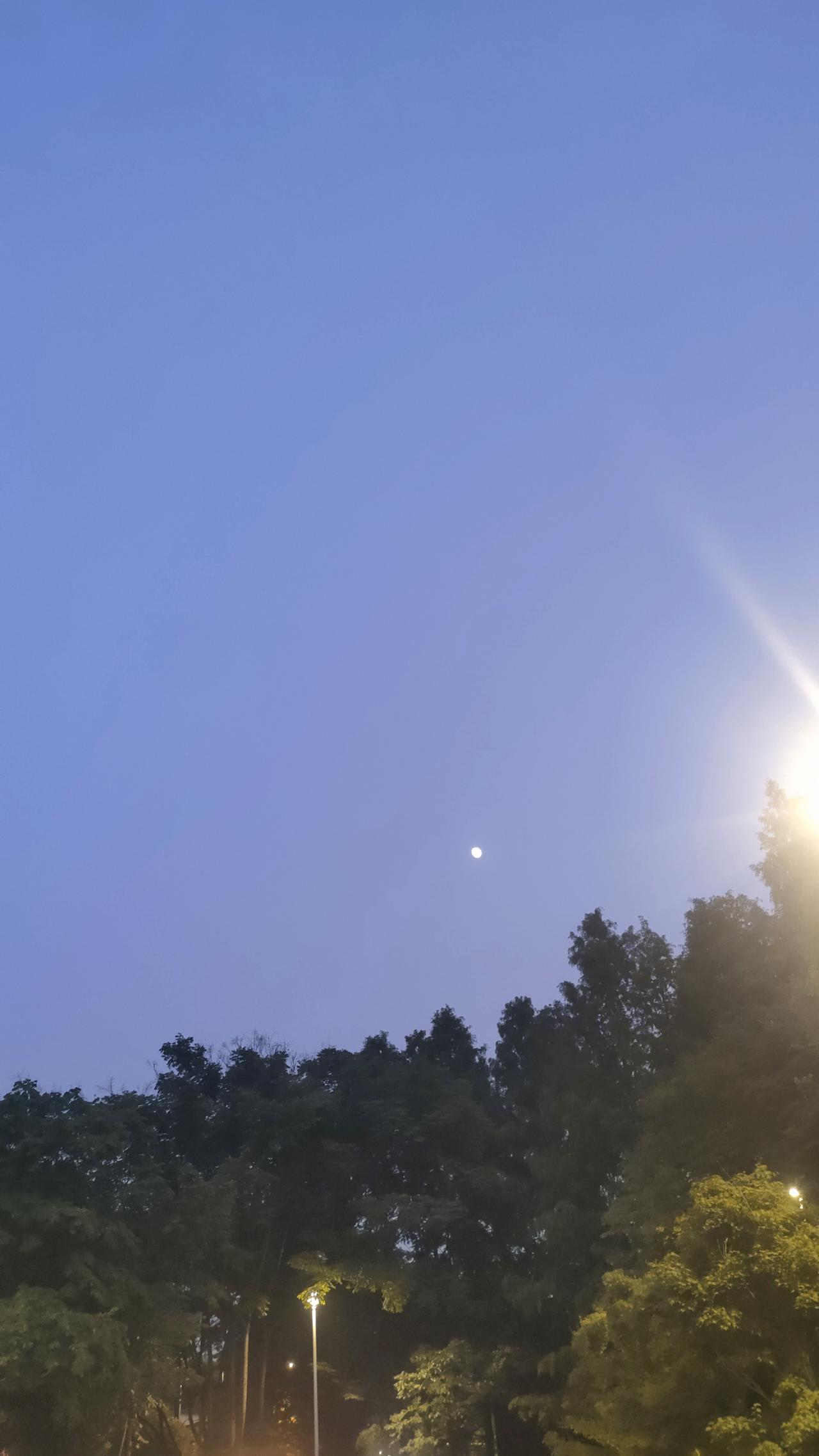 夜幕降临，月光洒下，树影婆娑，静谧美好。晒图笔记大赛 记录我的2026
