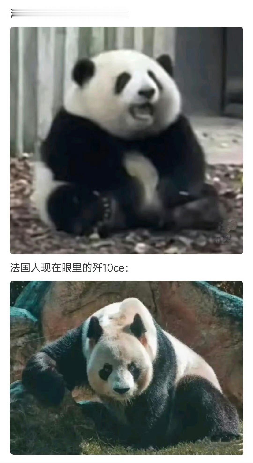 海外看中国[阴险] ​​​