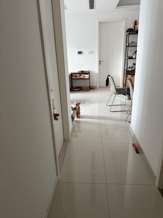 谁懂早上起来推门看见这俩懵懵地等我