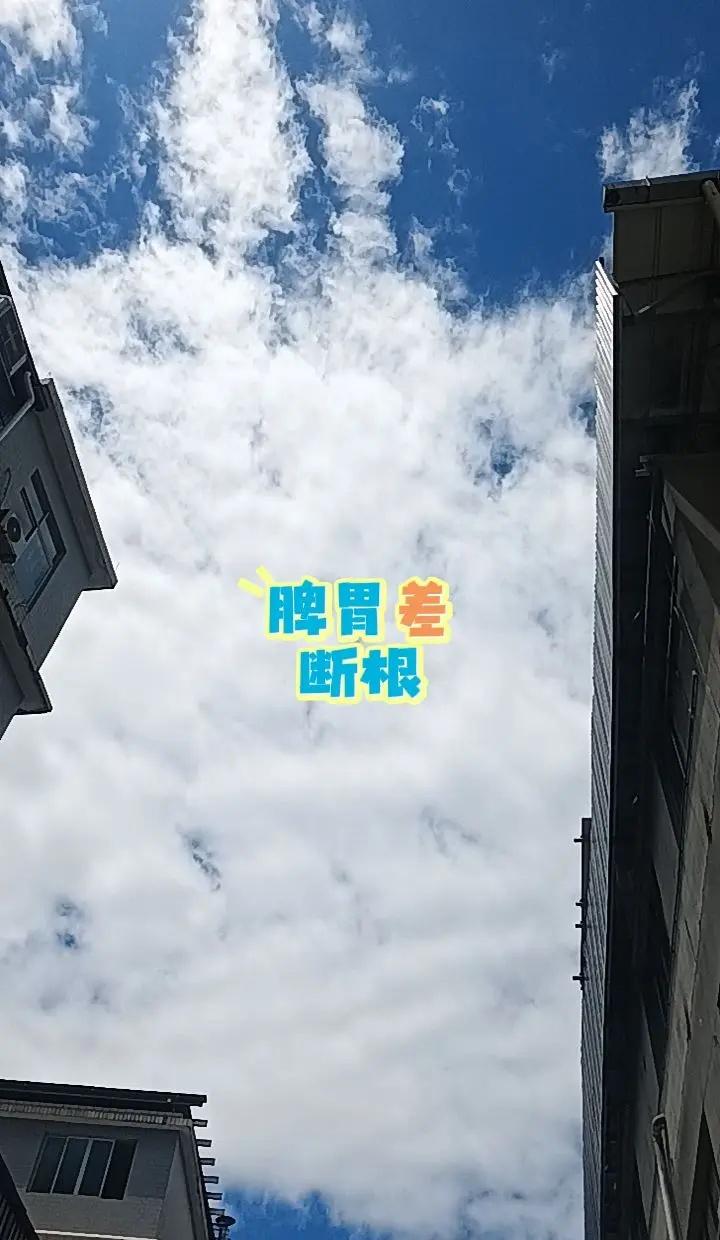 会当凌绝顶一览众山小!国乒男团3:0横扫日本队夺得伦敦世乒赛团体冠军，12连冠，