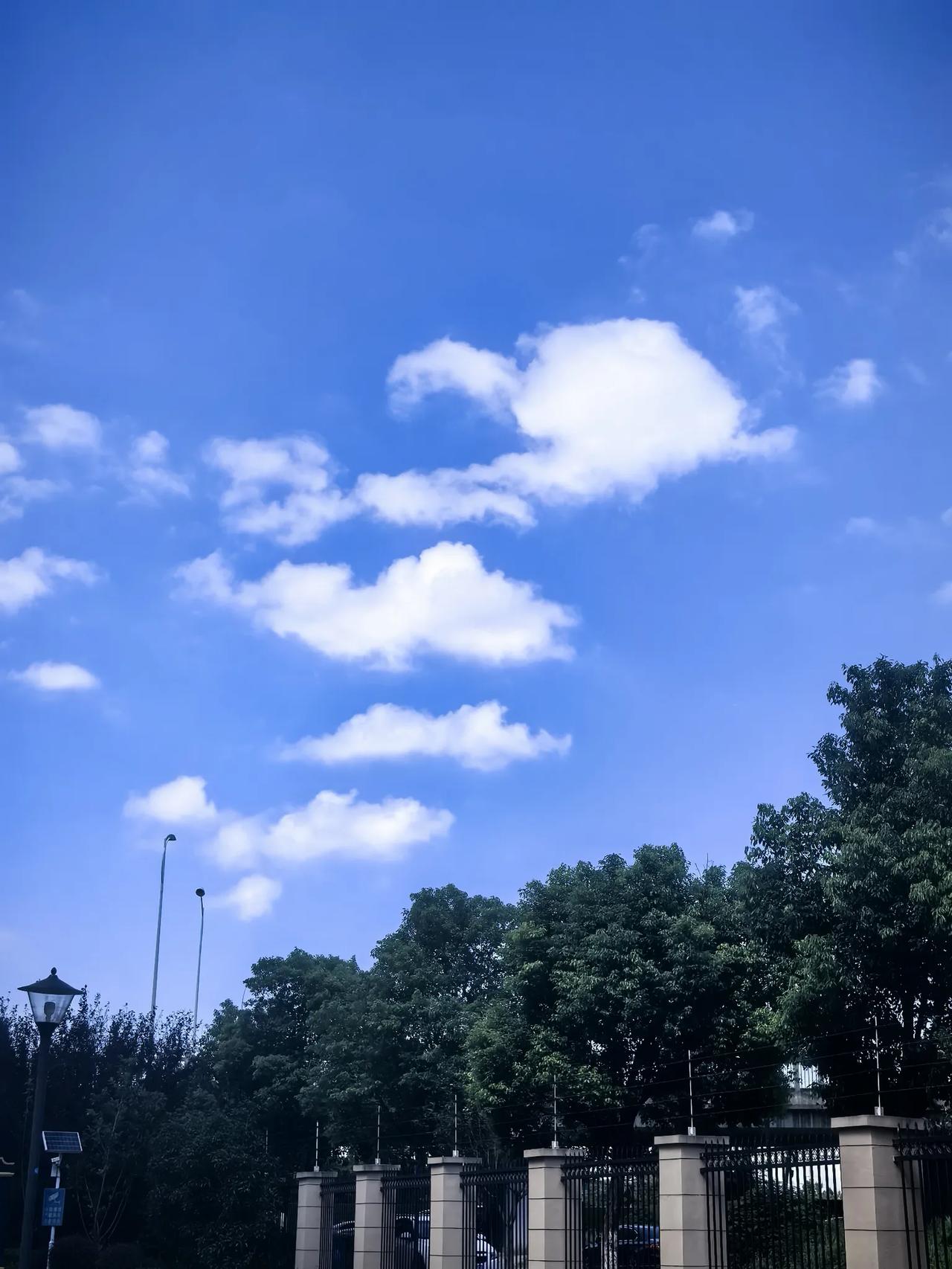 我的夏天（告别8月）
我喜欢夏天，
让我回想起了
门口土场的那张老竹榻，
伴随着
