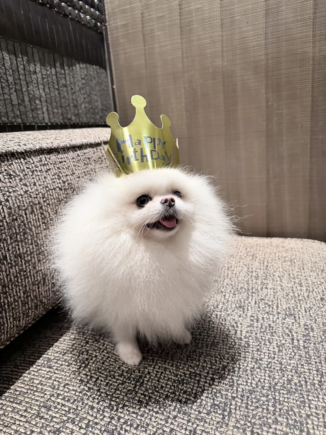 三岁龄小宝🎂