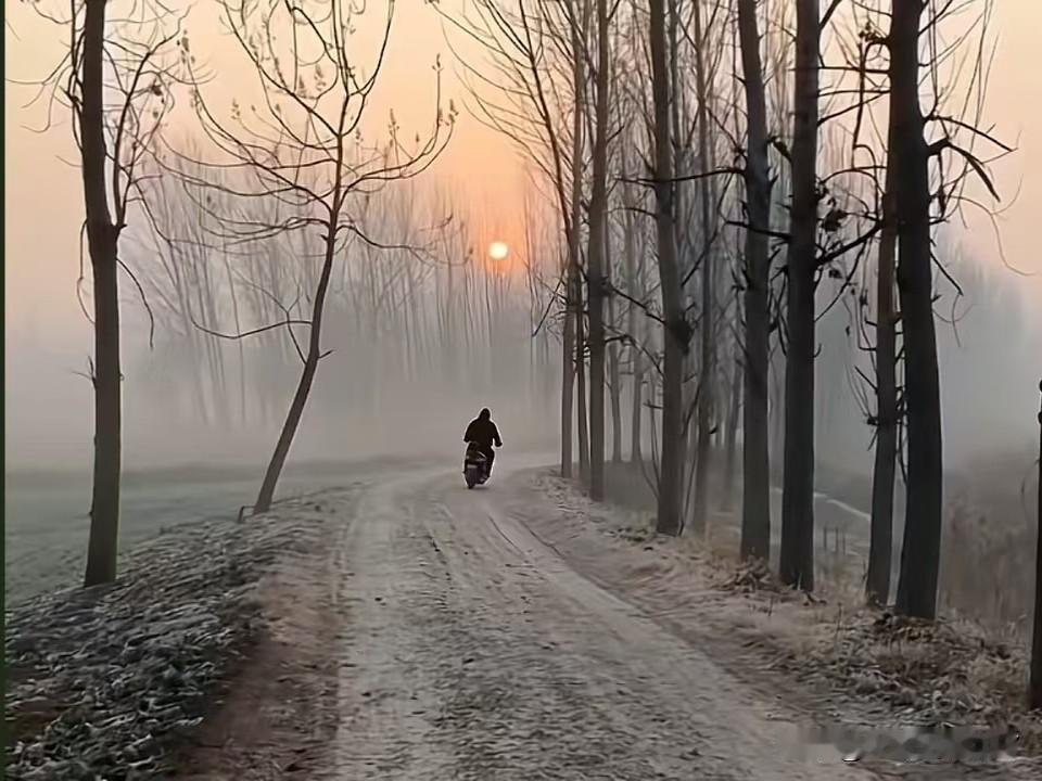 离家闯荡的游子，你是否还会记得自己的家乡，回到家乡？
家乡，
曾容下了你的年幼无