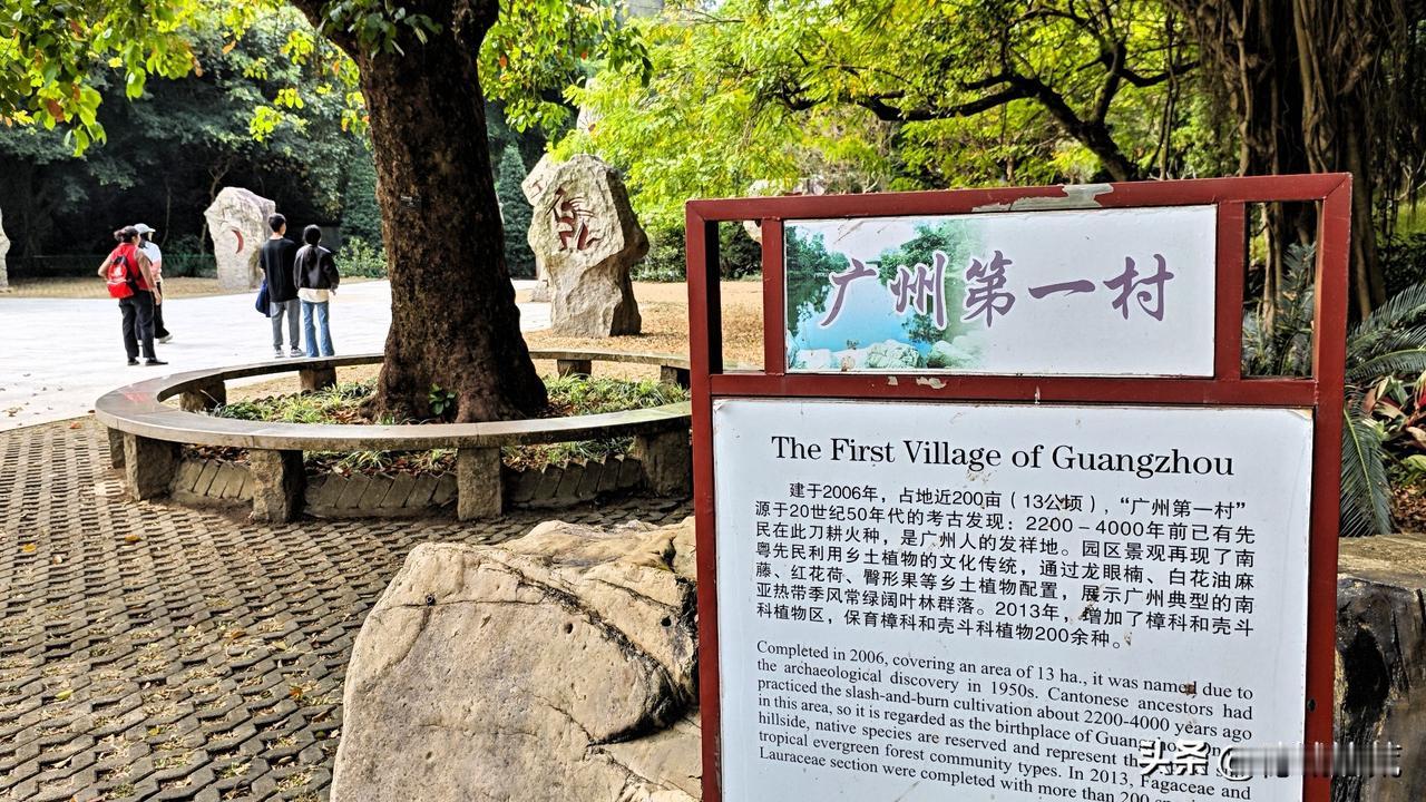 据说，天河龙洞村民凭身份证就可以免票入华南植物园，皆因广州最早的村居然隐藏在华南