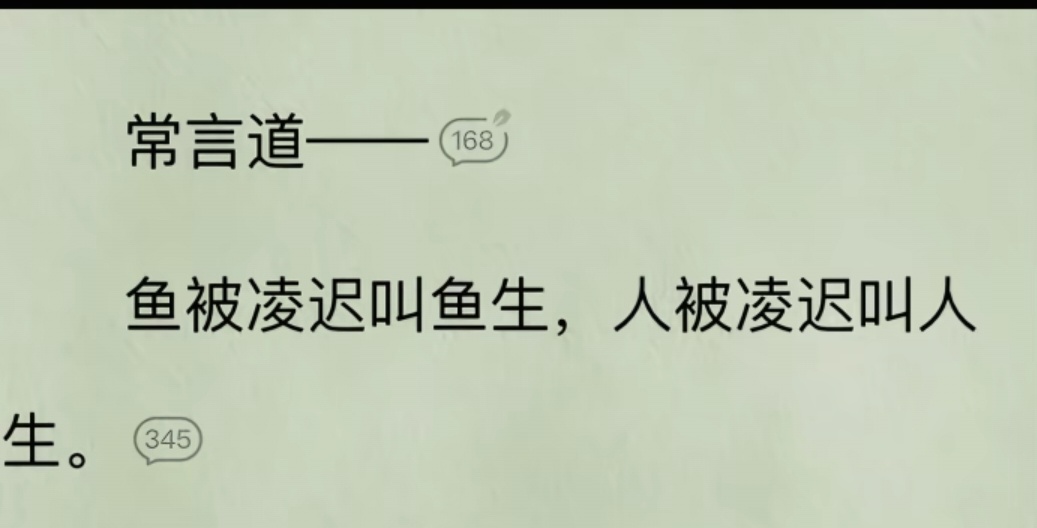 6581人生歇斯底里，鱼生delicious 