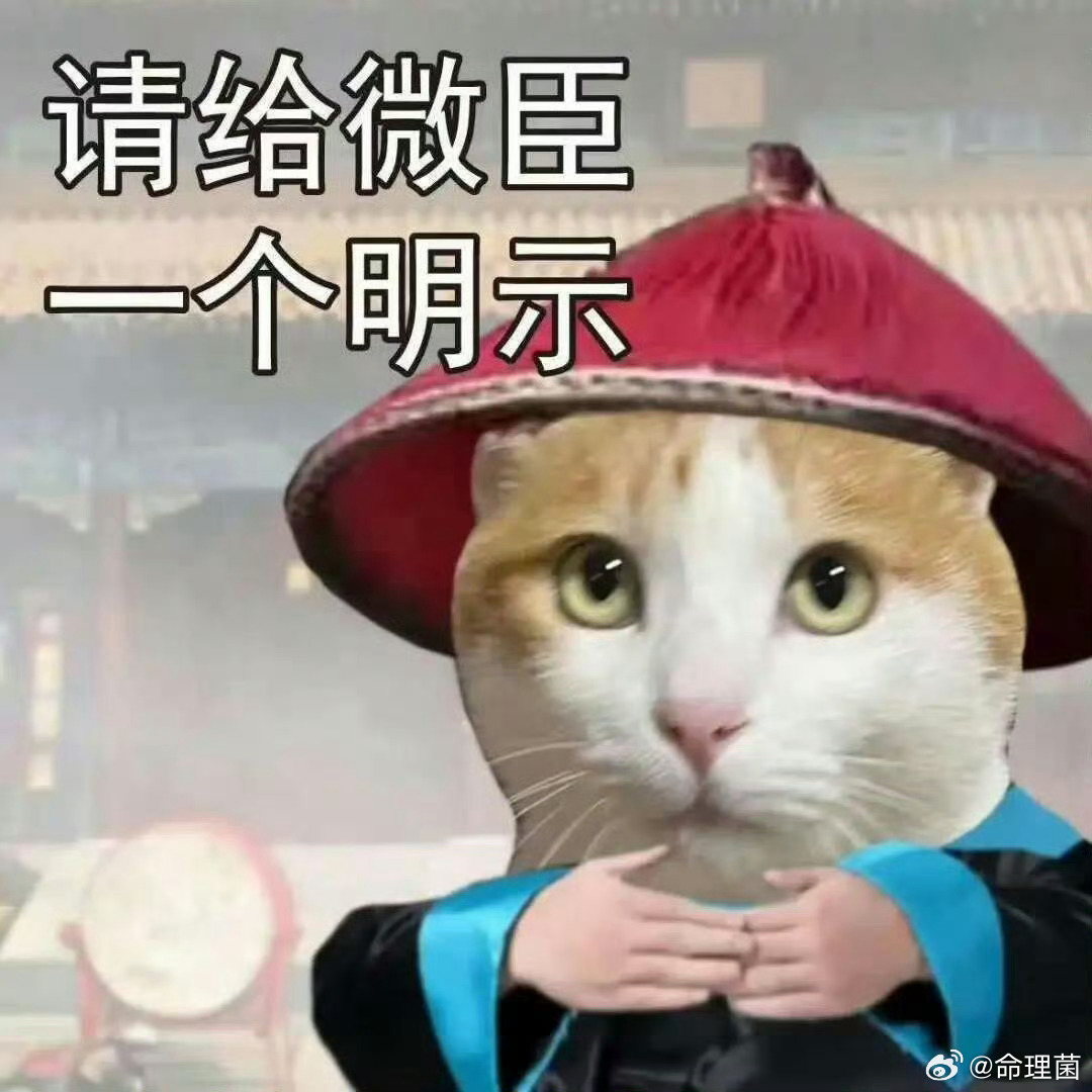 特朗普声称伊朗已被彻底击败老头 下周赶快撤吧 别废话了 